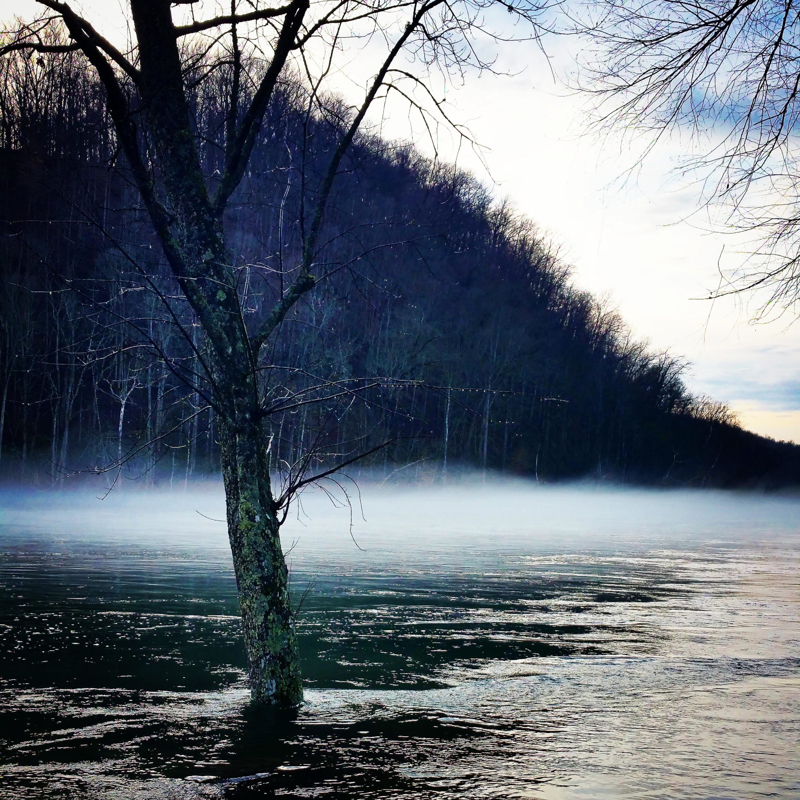 A foggy river scene featuring a partially submerged tree in the foreground, with a misty atmosphere and a backdrop of a wooded hillside. The water reflects gentle ripples and a soft light, enhancing the tranquil and serene setting. Norris Watershed mountain bike trail.