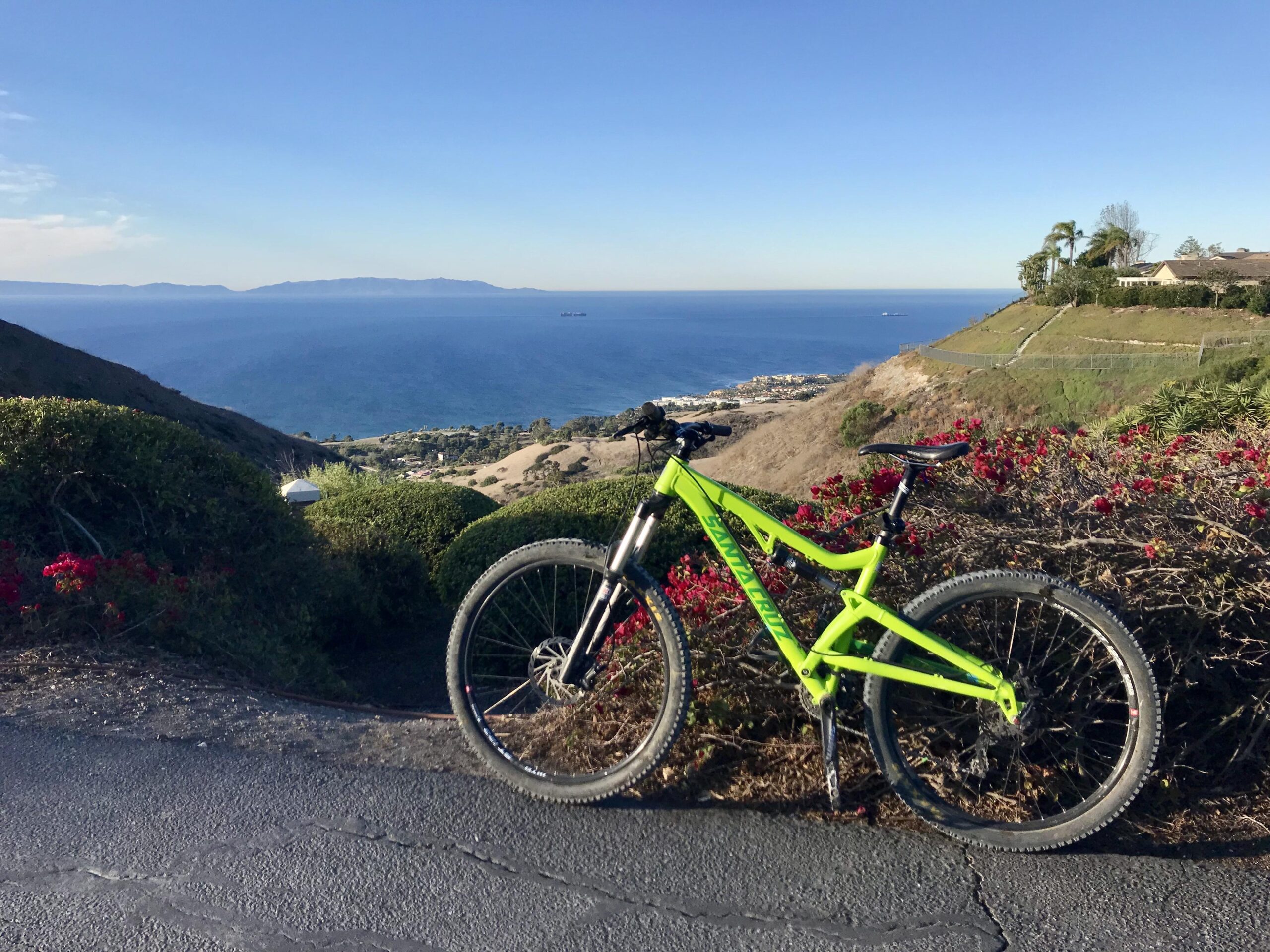 Santa Cruz Heckler: A vibrant green mountain bike is leaning against a bush with pink flowers, overlooking a scenic view of the ocean and islands in the distance. The sky is clear and blue, with gentle hills in the foreground. The setting suggests a beautiful outdoor location ideal for biking and enjoying nature.