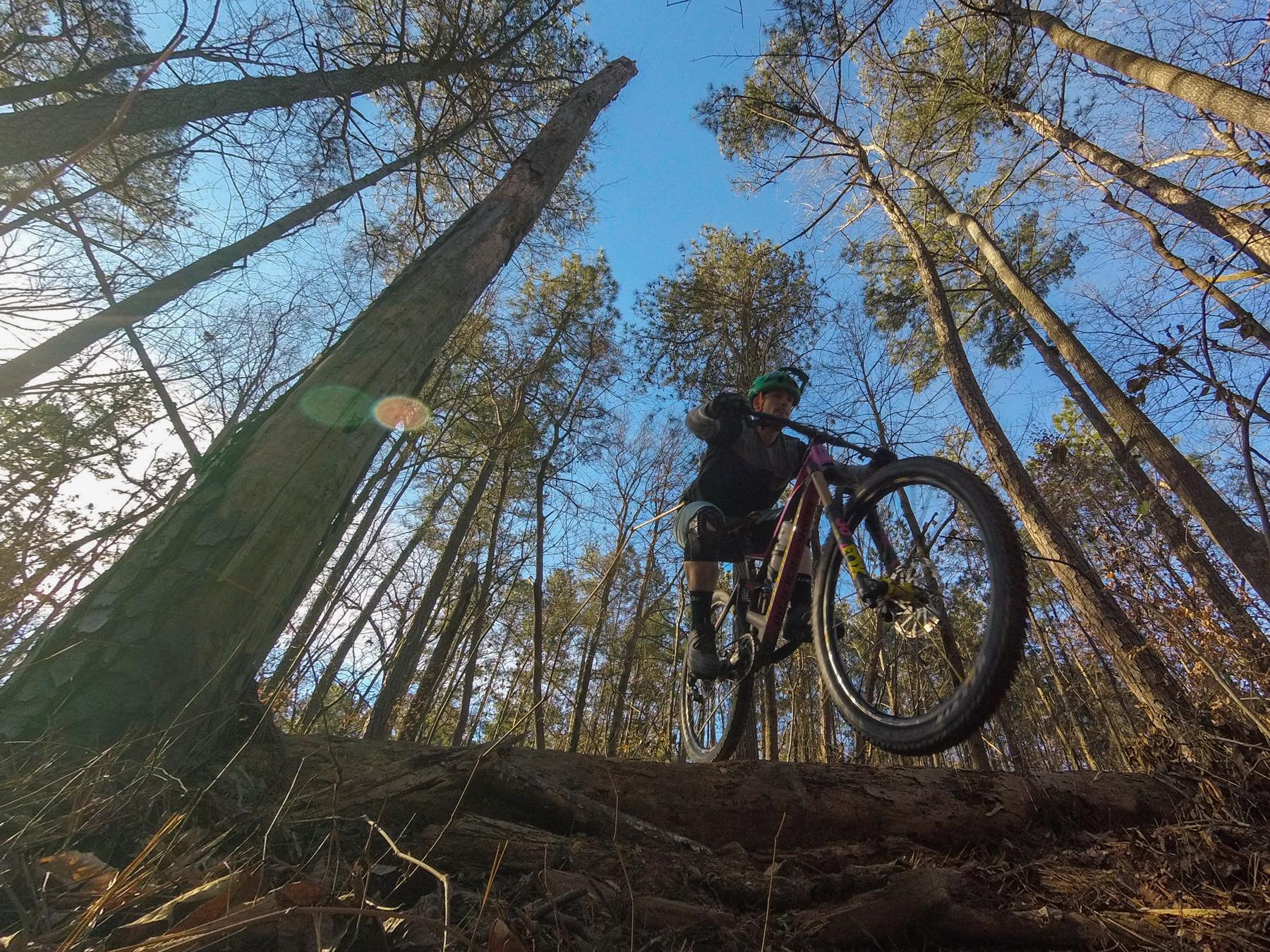 Mondraker Dune: Mountain biker jumping over a log on a forest trail, surrounded by tall trees and a clear blue sky above.