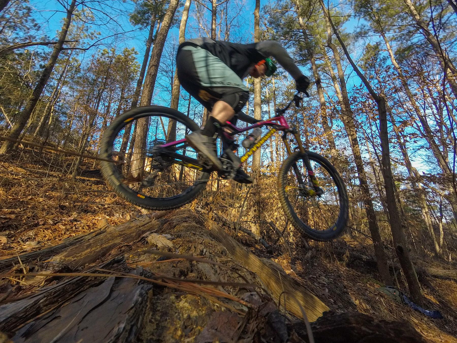 Mondraker Dune: A mountain biker performs a jump over a fallen log on a forested trail, surrounded by trees and blue sky, during an outdoor ride amidst autumn foliage.