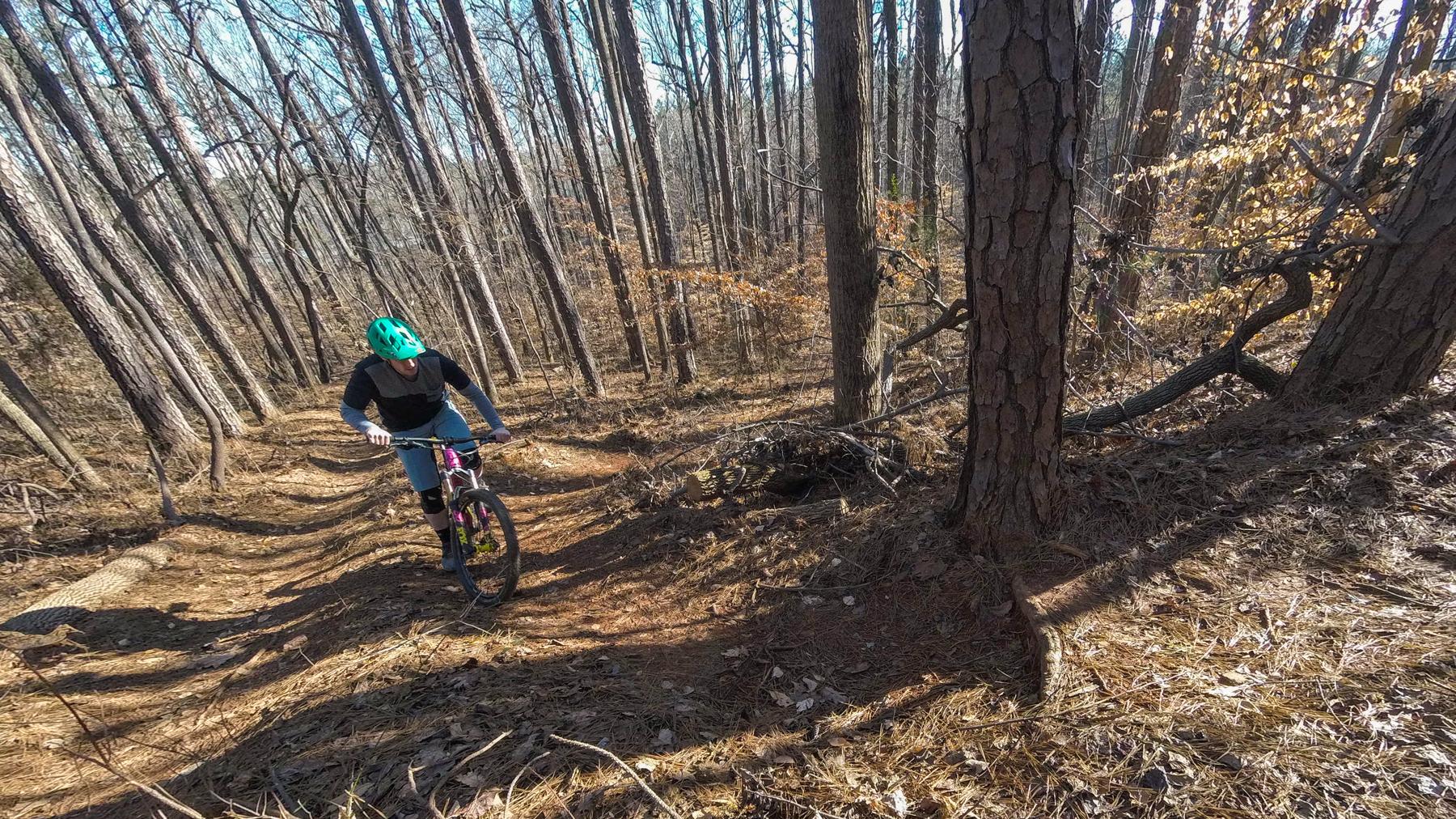 Mondraker Dune: A mountain biker navigating a forest trail surrounded by tall, bare trees and scattered pine needles on the ground. The cyclist wears a blue helmet and a black jersey, focused on the path ahead.