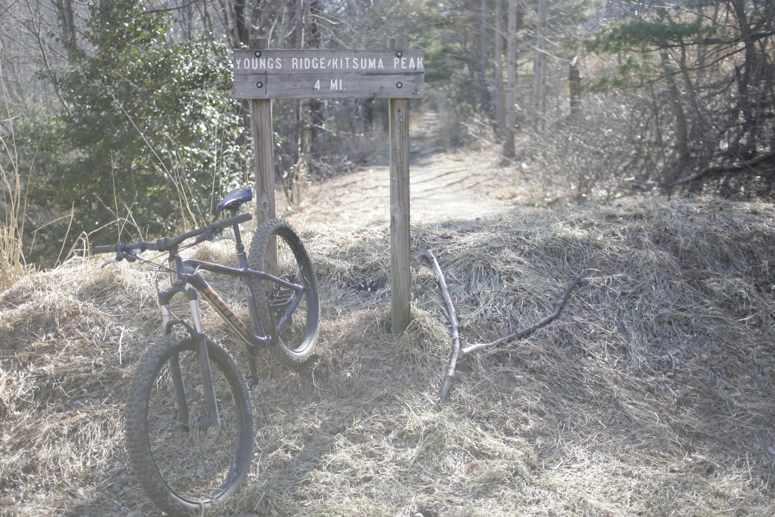 A mountain bike leaning against a wooden trail sign that reads "Youngs Ridge/Kitsuma Peak, 4 MI," with a dirt path leading into a wooded area in the background, surrounded by dry grass and sparse trees. Kitsuma mountain bike trail.