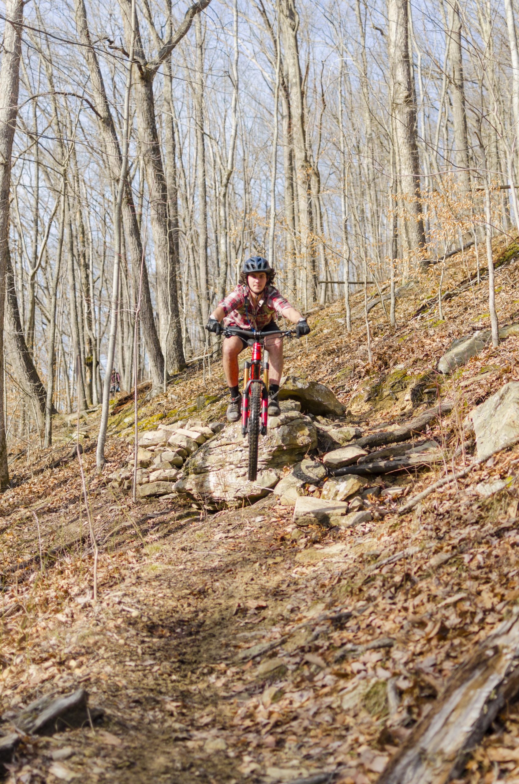 A mountain biker in a helmet and colorful shirt jumps off a rock formation on a dirt trail, surrounded by bare trees and fallen leaves. Sunlight filters through the branches, creating a vibrant outdoor scene. Black Bear Trail mountain bike trail.