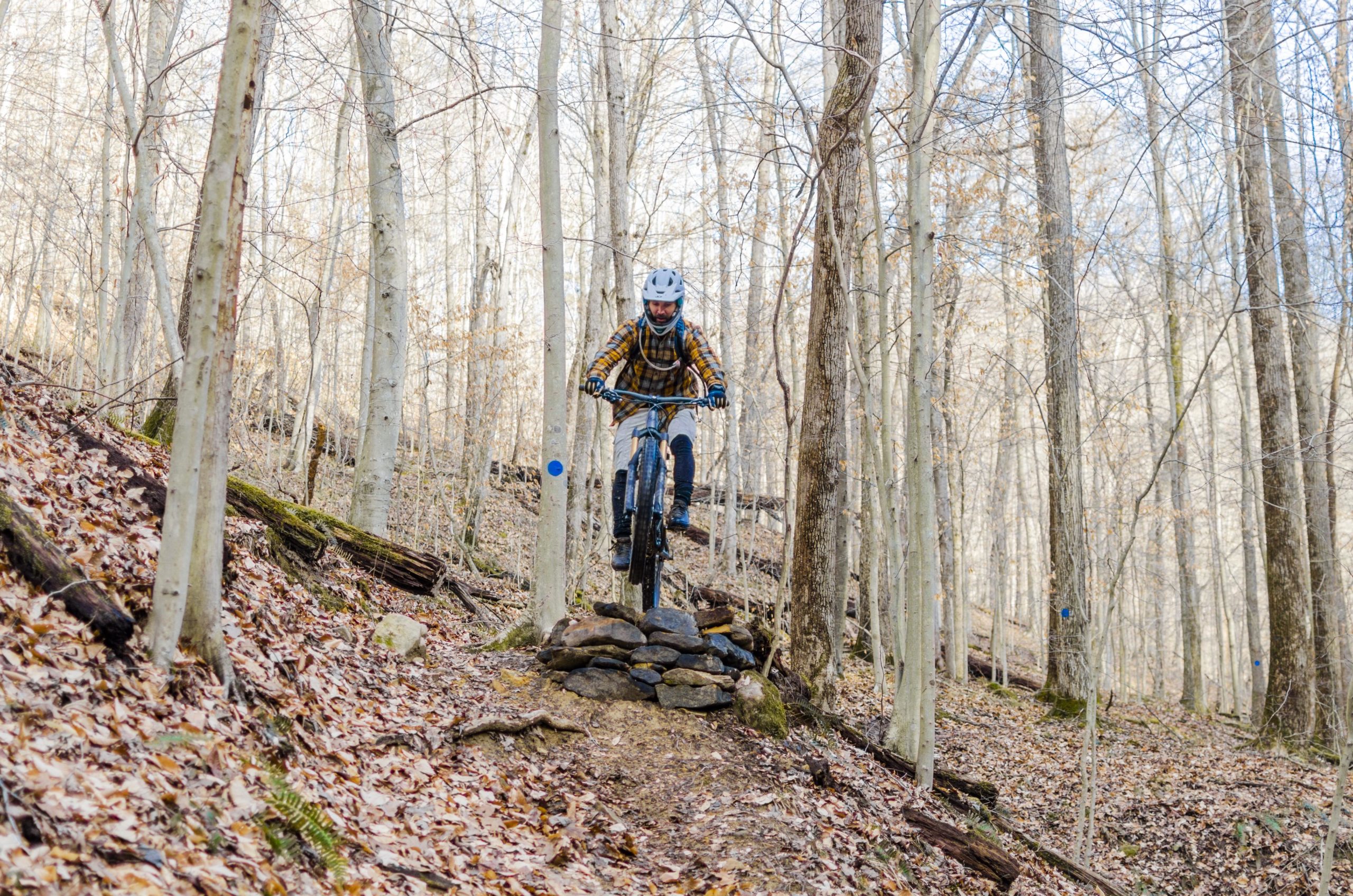 A mountain biker in a checkered shirt and protective gear jumps off a small rocky ramp in a woodland area with bare trees and fallen leaves on the ground. The scene captures the action and excitement of trail biking in nature. Black Bear Trail mountain bike trail.