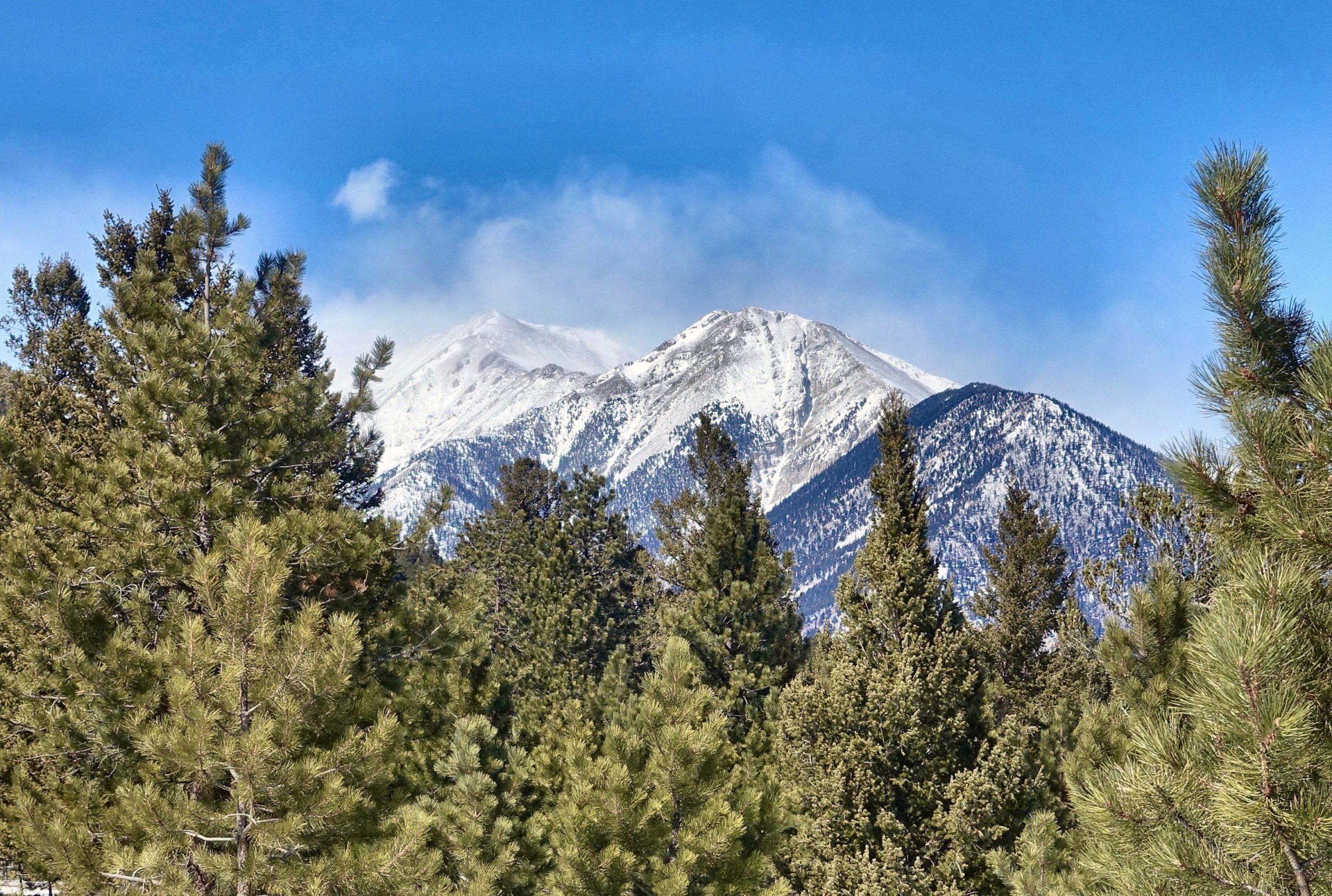 A snowy mountain range rises in the background, partially obscured by evergreen trees in the foreground. The sky is clear blue with a few clouds drifting above the peaks, highlighting the rugged terrain and snowy caps of the mountains. Colorado Trail: Mt. Shavano thd to Chalk Creek thd mountain bike trail.