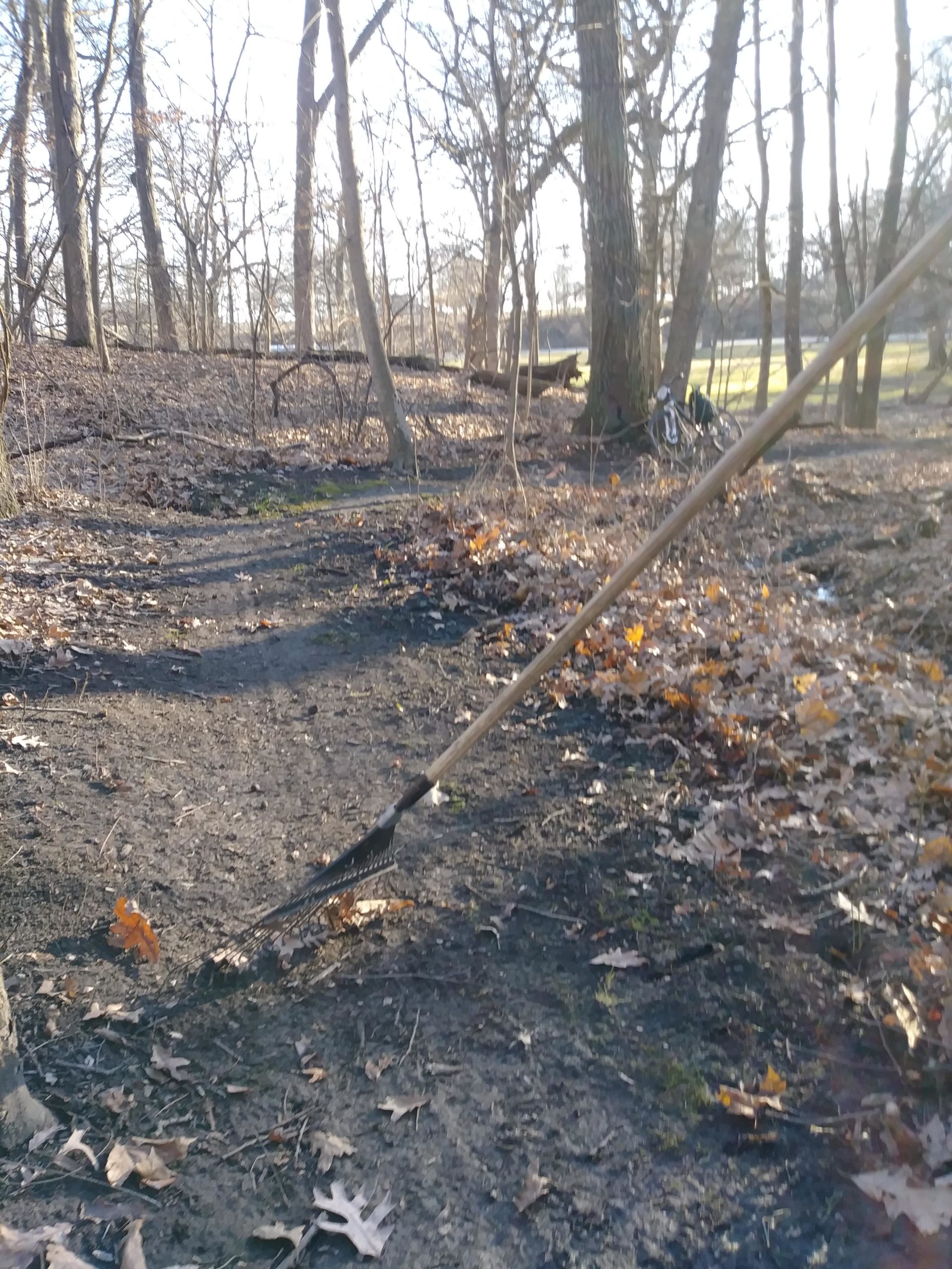 A close-up view of a rake on a dirt path covered with fallen leaves, surrounded by bare trees in a wooded area. The scene is illuminated by sunlight, suggesting a crisp, clear day. In the background, a bicycle is leaning against a tree. Marila Park mountain bike trail.