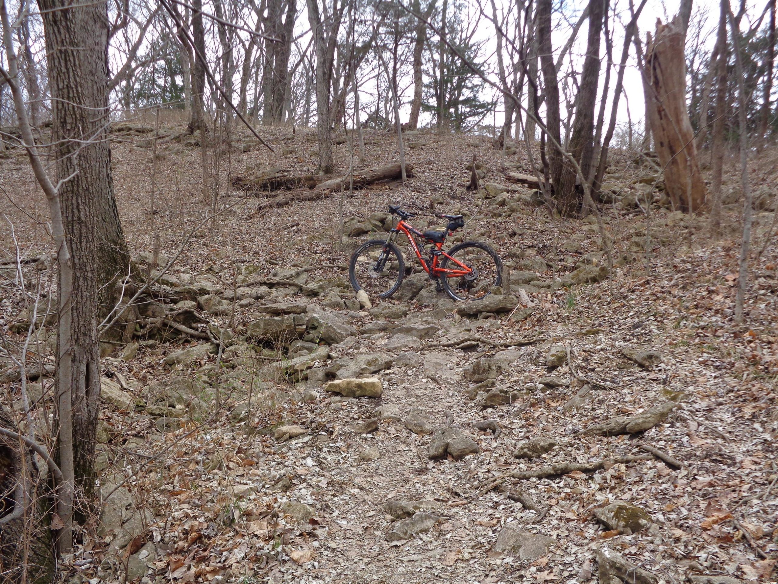 A mountain bike leaning against a rocky trail in a wooded area, with bare trees and scattered leaves covering the ground. The scene captures a natural, rugged landscape typical for outdoor biking adventures. Clinton State Park mountain bike trail.