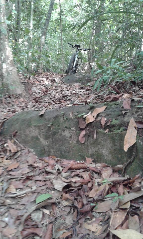 A mountain bike resting on a dirt path surrounded by dense green foliage and fallen leaves in a forested area. Hang Nak trails mountain bike trail.