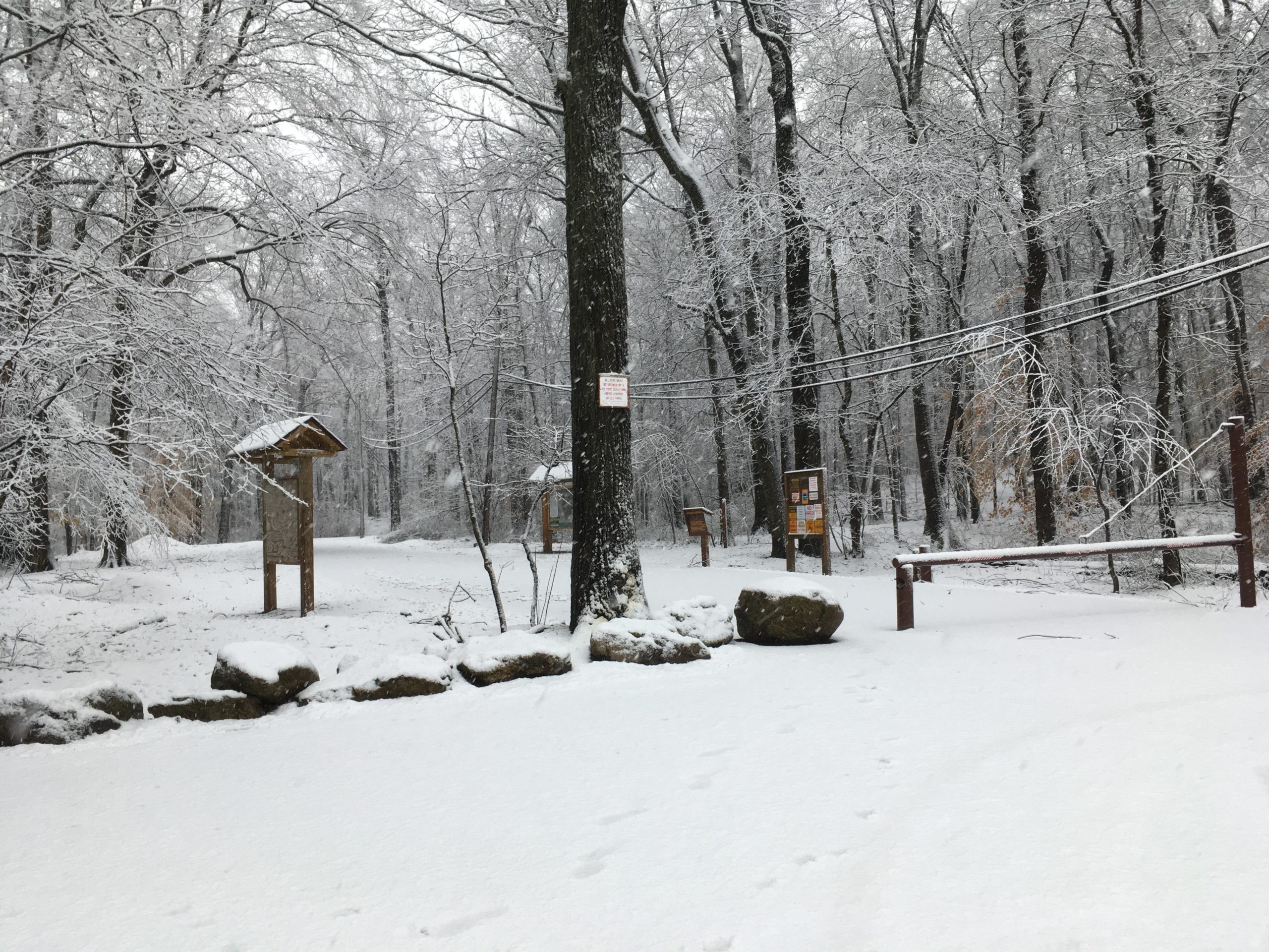A snowy trail in a forest landscape, featuring trees covered in snow. Wooden signs and informational boards are visible along the path, with a layer of fresh snow blanketing the ground. The scene is tranquil and serene, showcasing the beauty of a winter wonderland. Long Pond mountain bike trail.