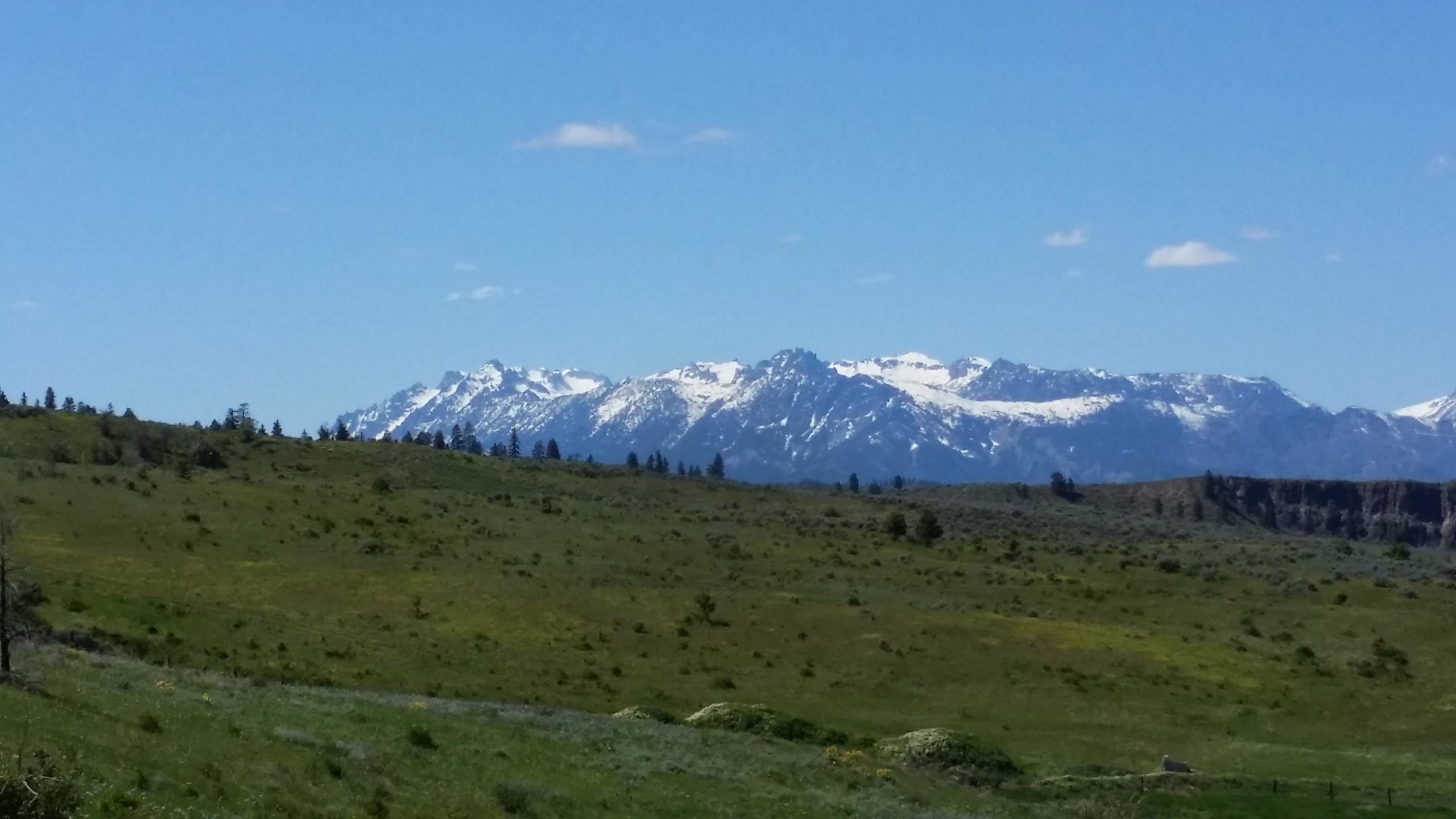 A scenic view of snow-capped mountains under a clear blue sky, surrounded by lush green hills and sparse vegetation in the foreground. Sage Hills mountain bike trail.