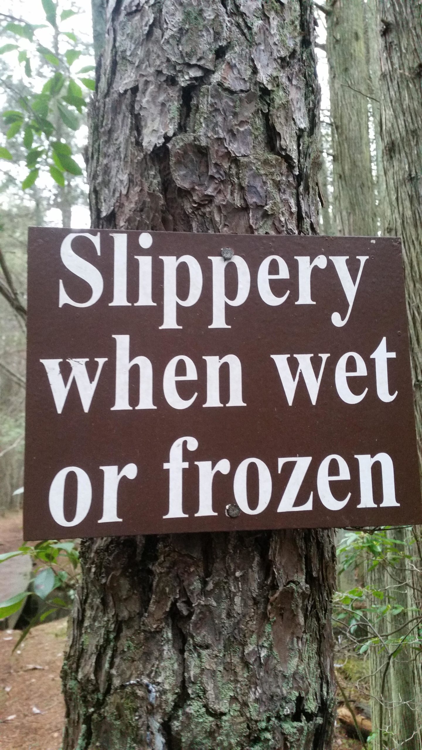 A wooden sign attached to a tree trunk that reads "Slippery when wet or frozen," warning passersby about potential slippery conditions. The sign is dark brown with white lettering, and it is set in a wooded area with tree bark visible in the background. Wells Mills County Park mountain bike trail.