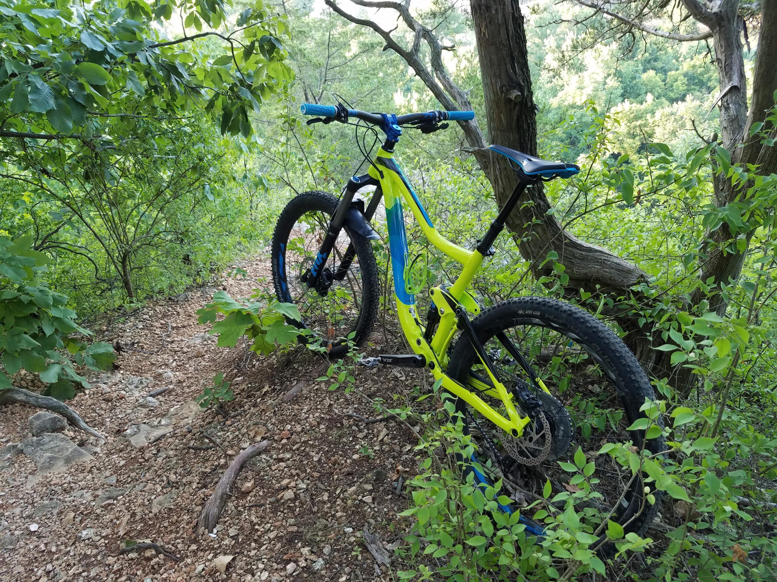 Giant Trance 27.5 2: A brightly colored mountain bike, predominantly yellow with blue accents, is parked against a backdrop of lush green foliage along a gravel trail. The bike's front wheel rests on the ground, partially hidden by surrounding plants, indicating a natural setting ideal for outdoor adventures.