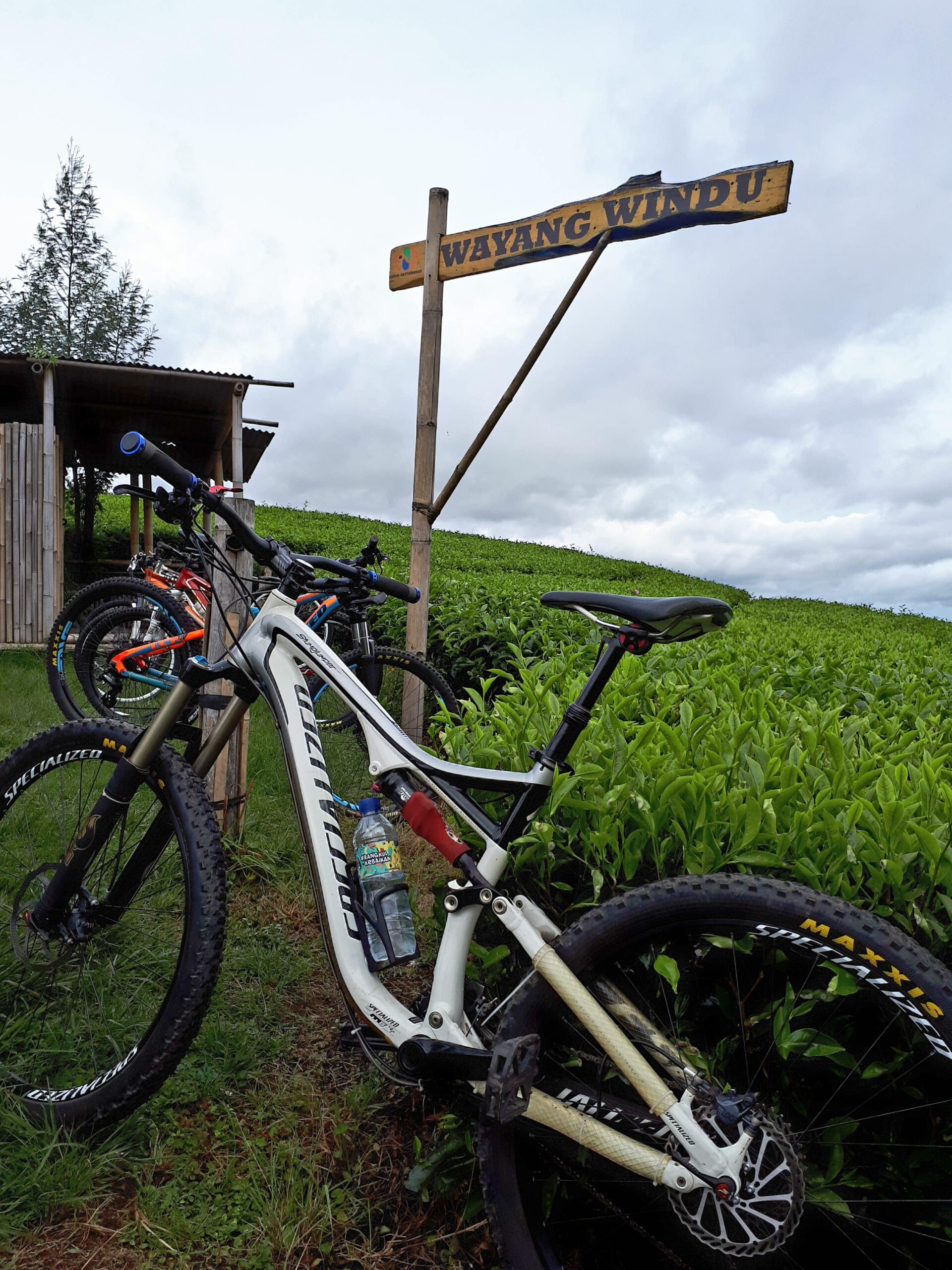 Specialized Stumpjumper FSR: A mountain bike parked next to a wooden sign reading "Wayang Windu," with lush green tea fields in the background and a cloudy sky overhead. The bike has a water bottle attached and is surrounded by additional bicycles in the distance.