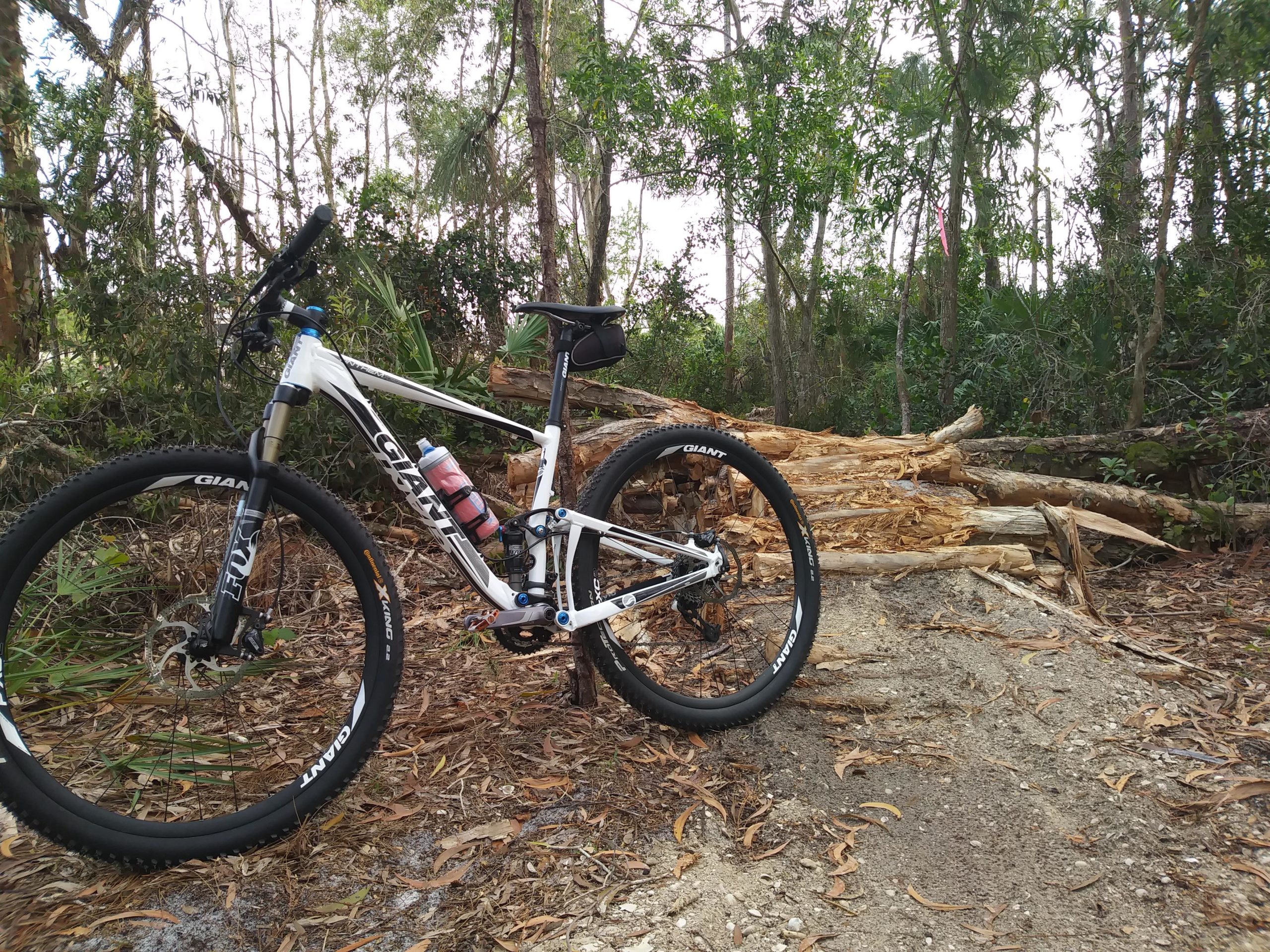 A mountain bike parked on a dirt trail surrounded by trees and vegetation, with a stack of logs in the background. The bike features a white frame with black and blue accents, and a water bottle mounted on the frame. Okeeheelee Park / Pinehurst / Green Acres Freedom Park mountain bike trail.