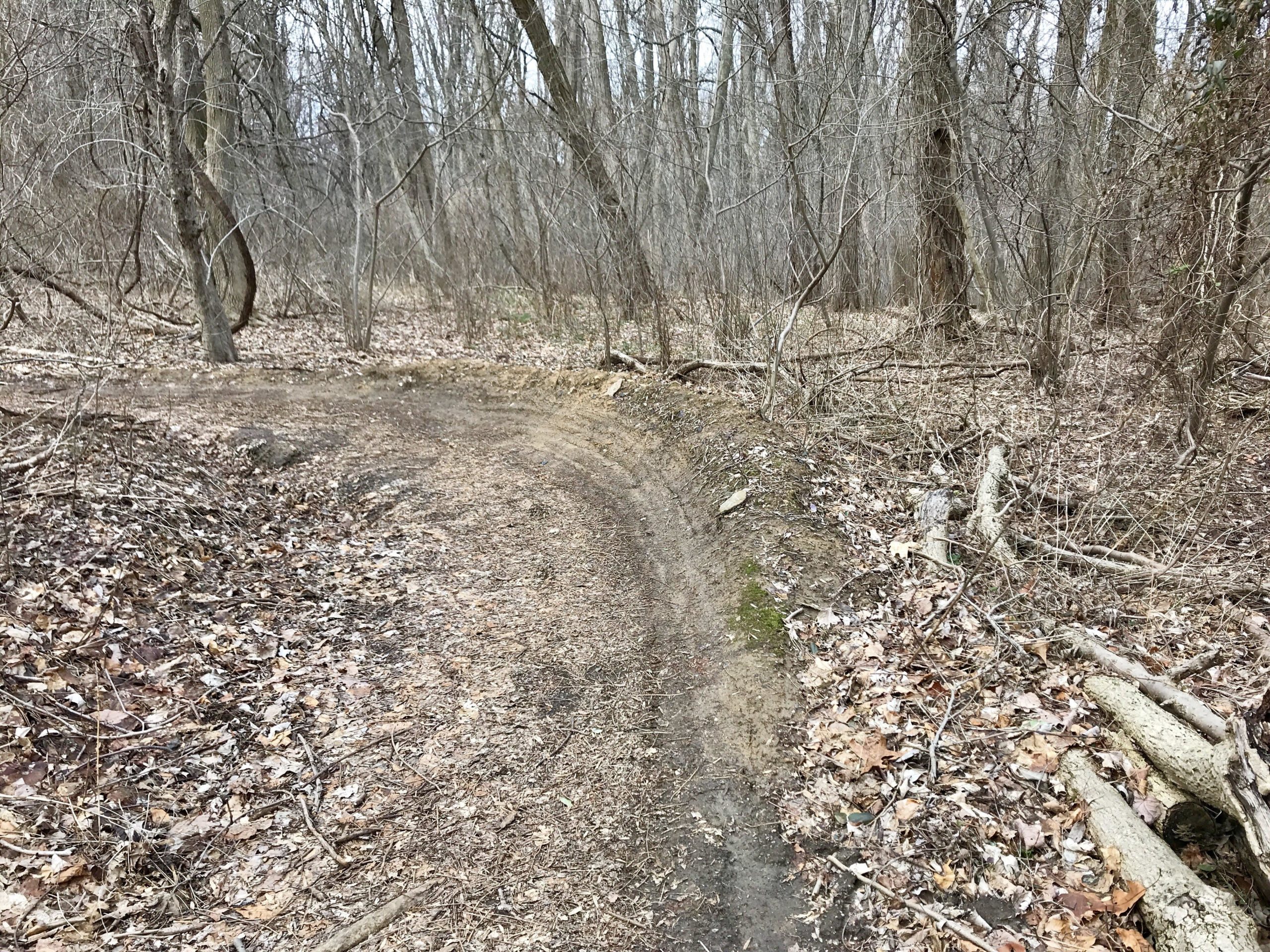 A winding dirt path through a bare forest, lined with leafless trees and scattered dry leaves on the ground, suggesting an early spring environment. The path bends to the left, surrounded by branches and fallen logs. Smedley park mountain bike trail.