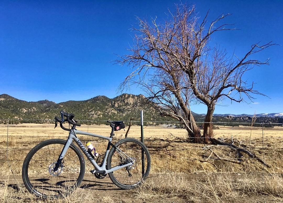 A gray bicycle parked beside a barren tree in an open field, with mountains and a clear blue sky in the background. CR #301 mountain bike trail.