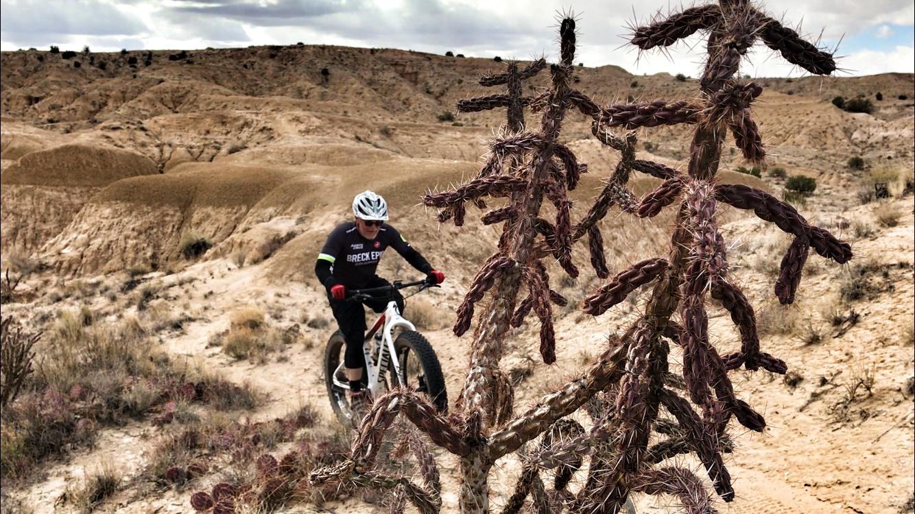 A mountain biker navigating uneven terrain in a desert landscape, with a focus on a spiky cactus in the foreground and rugged hills in the background. The biker is wearing a helmet and a jersey, surrounded by dry grass and shrubs under a cloudy sky. Mariposa Fat Bike Trails mountain bike trail.