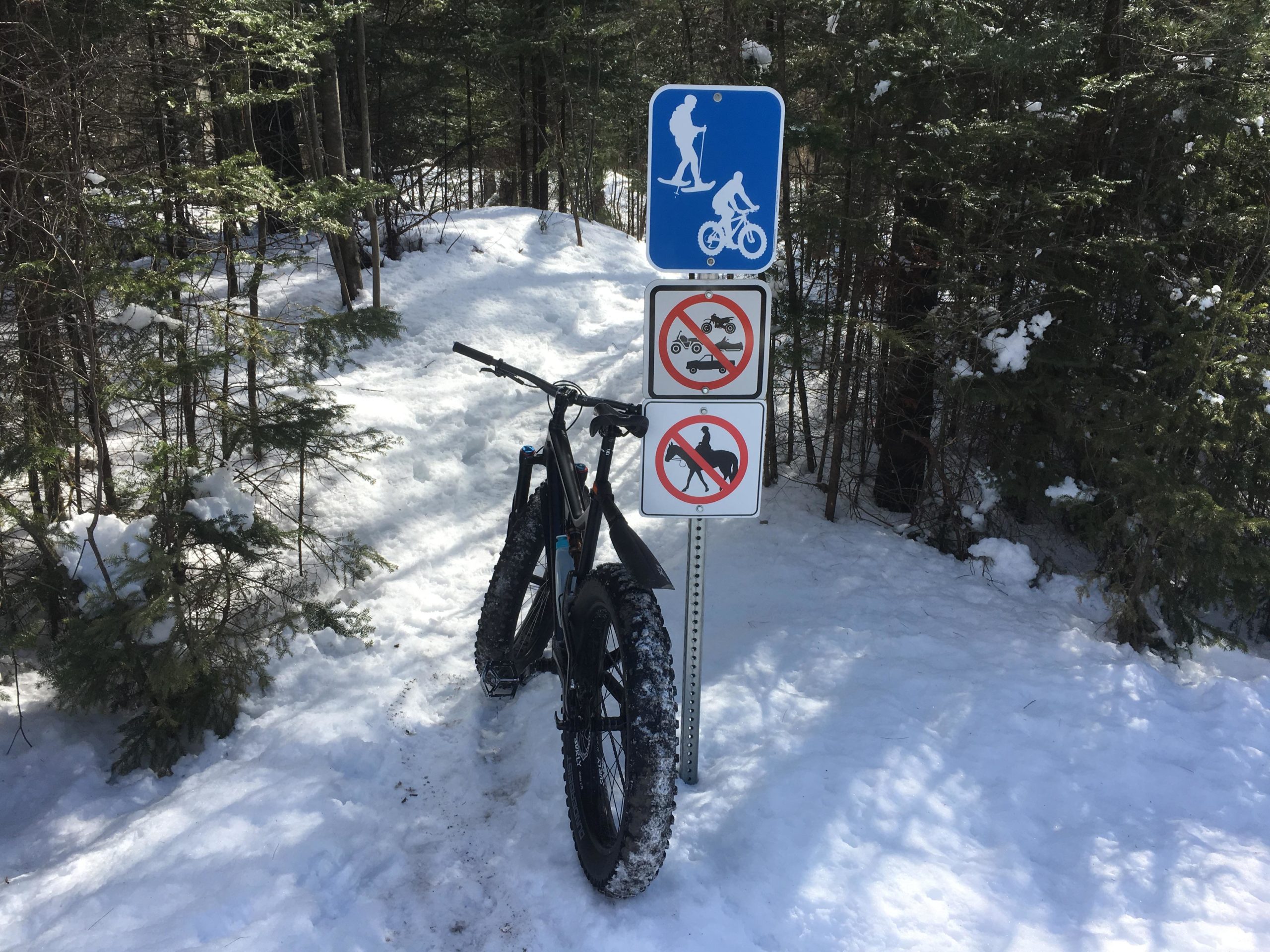 A black fat bike parked on a snowy trail, next to signs indicating allowed activities: skiing and biking, and prohibiting motorized vehicles and horses, surrounded by trees. Larose Forest mountain bike trail.