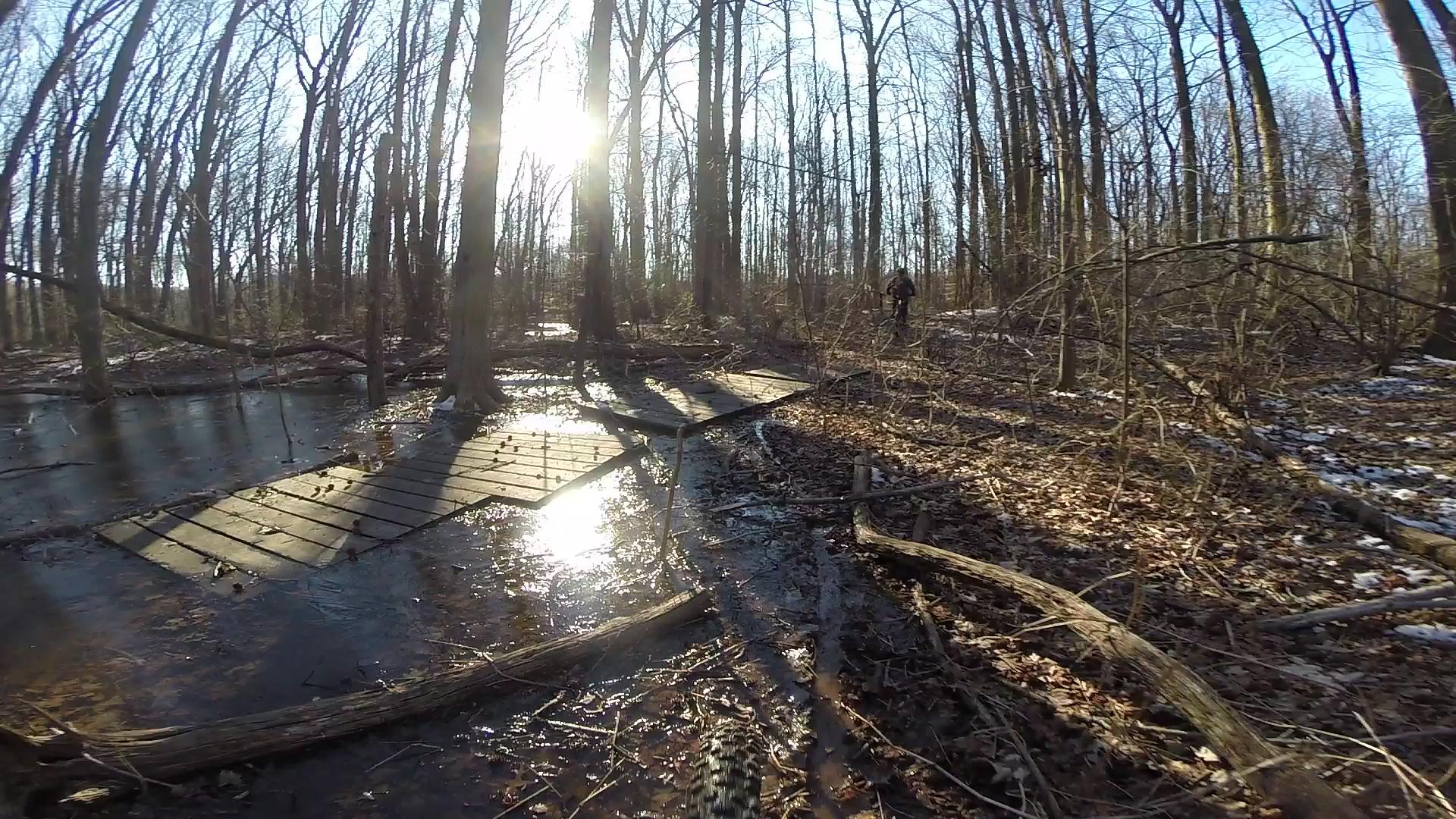 A serene forest scene featuring bare trees and a small wooden pathway over a partially frozen stream. The sun shines brightly in the background, casting shadows on the ground, and fallen leaves and branches are scattered throughout the area. Wolfes Pond park mountain bike trail.