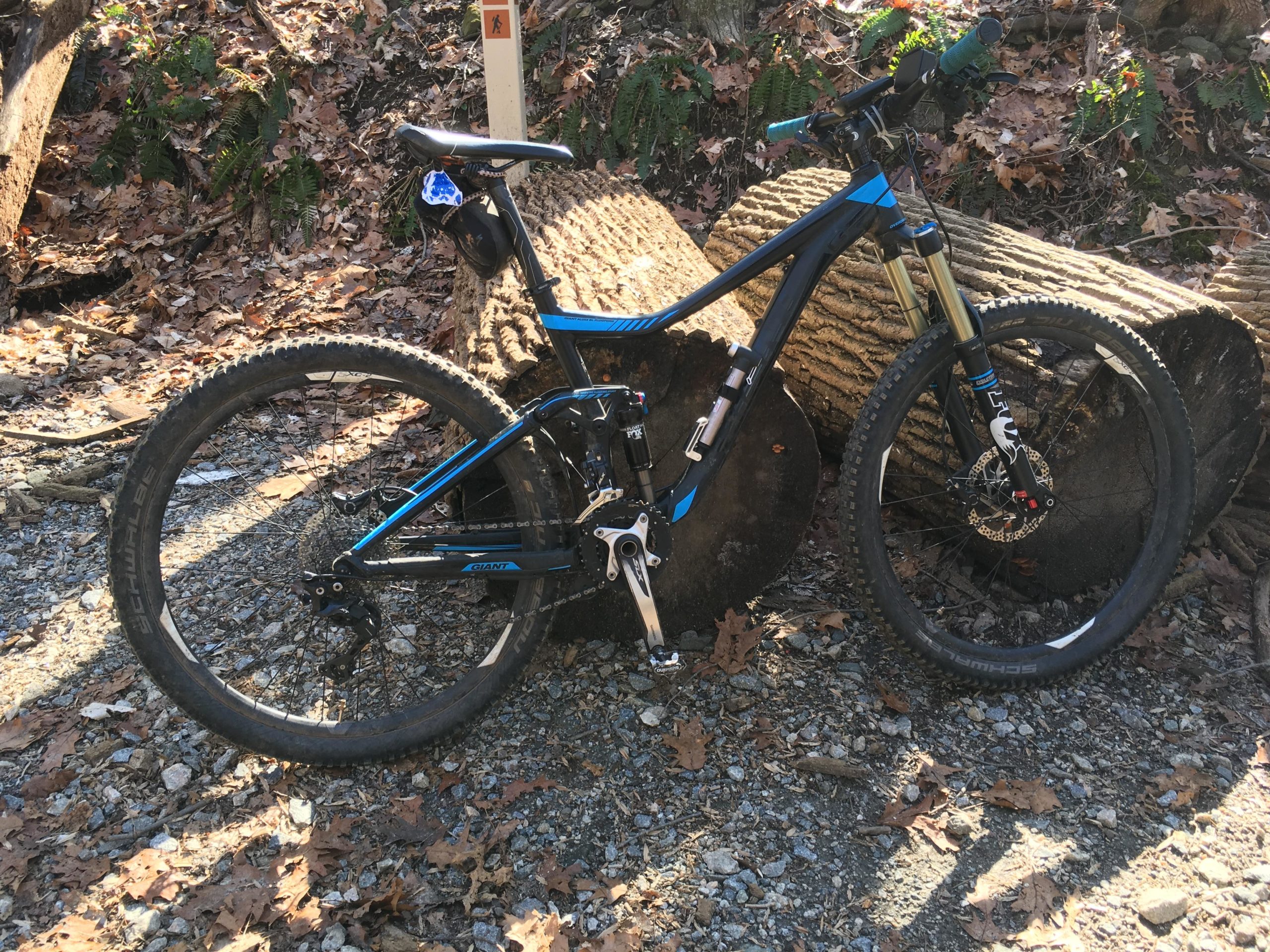 A black and blue mountain bike leaning against a log in a forested area with fallen leaves on the ground and greenery in the background. White Clay Creek mountain bike trail.