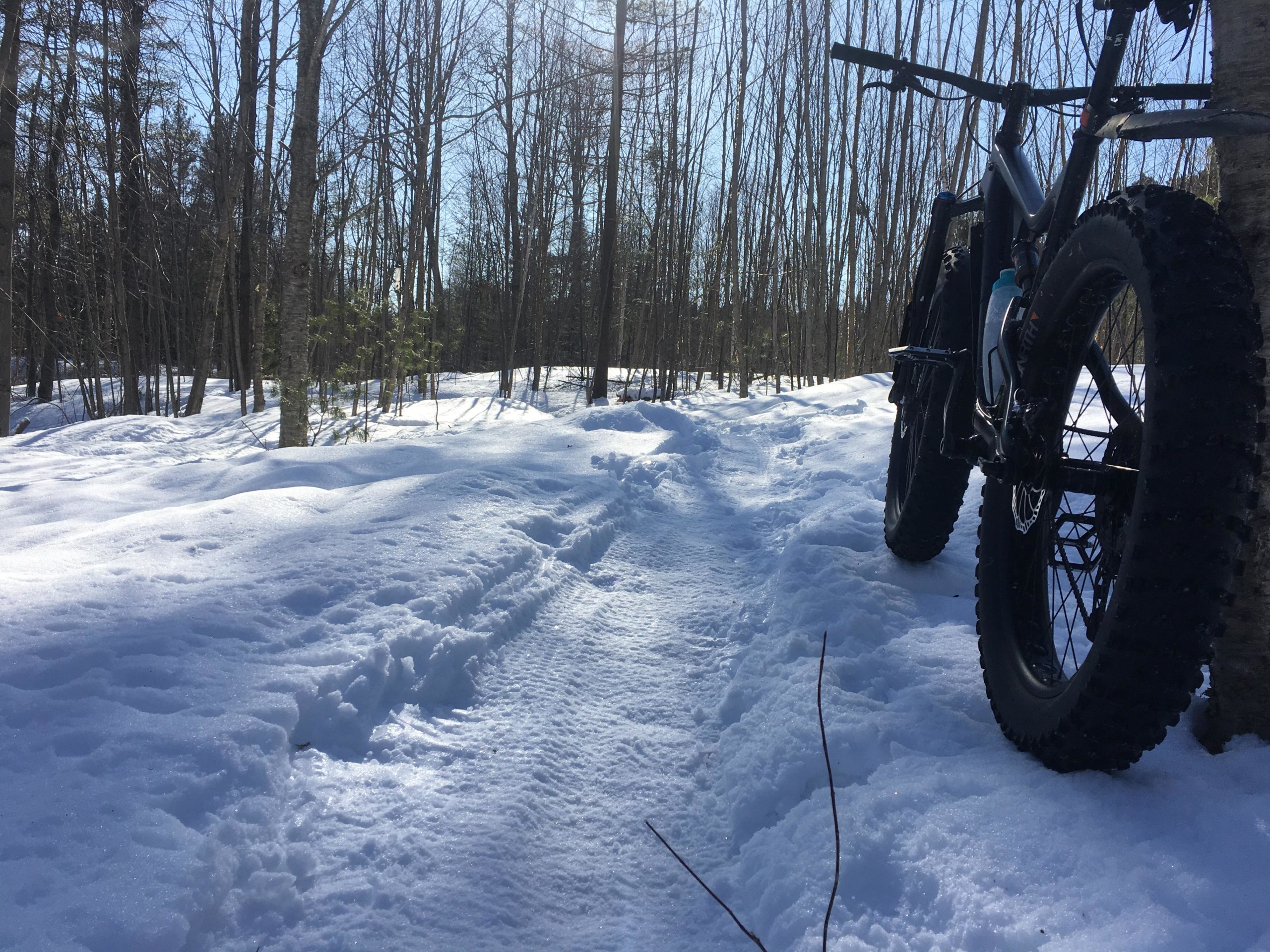 A fat bike leaning against a tree on a snowy trail, surrounded by tall, bare trees in a winter forest. The sun is shining, creating shadows in the snow. The trail shows signs of previous use, with packed snow and tire tracks visible. Larose Forest mountain bike trail.