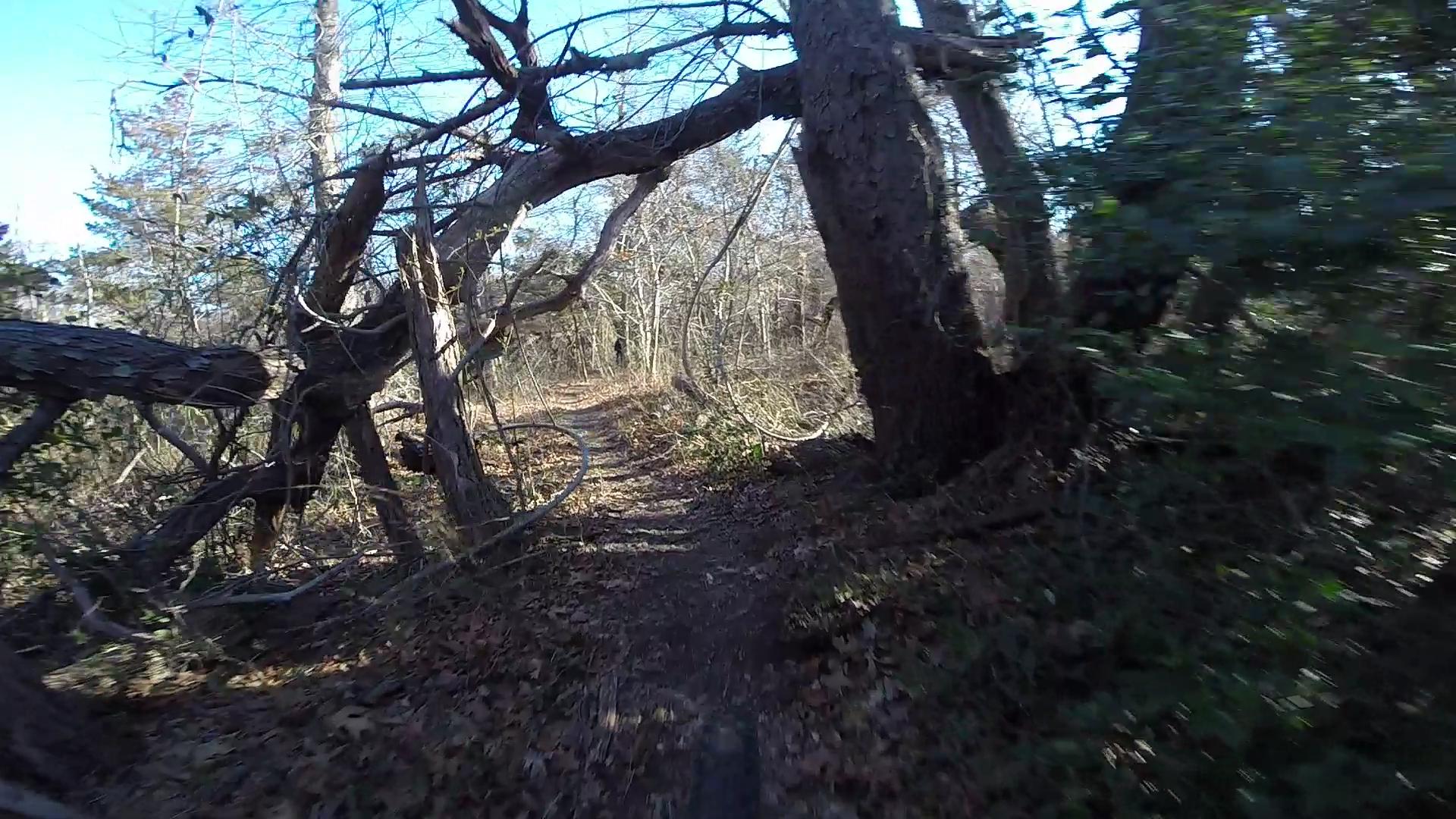 A narrow winding trail through a wooded area, flanked by bare trees and fallen branches, with scattered leaves on the ground and a clear blue sky overhead. Allaire State Park mountain bike trail.