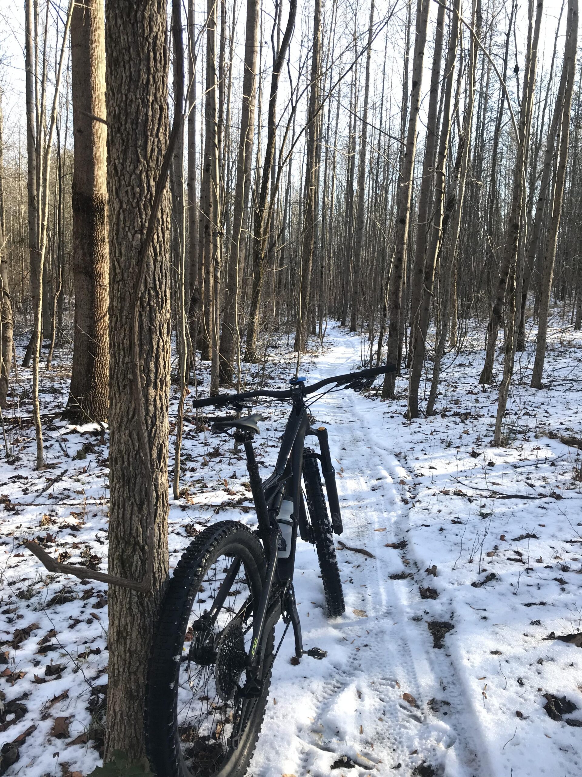 Specialized Stumpjumper S Works FSR: A black mountain bike leaning against a tree on a snowy trail surrounded by bare trees in a winter forest. The path is slightly visible, covered in a mix of snow and fallen leaves.