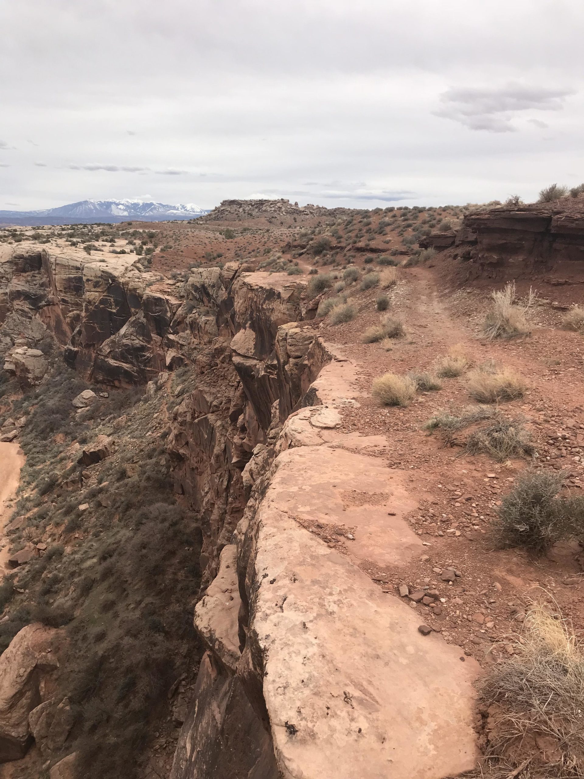 Rocky cliff edge overlooking a rugged landscape with sparse vegetation, leading to distant snowy mountains under a cloudy sky. The terrain features reddish-brown earth and scattered grass. Moab Brand Trails mountain bike trail.
