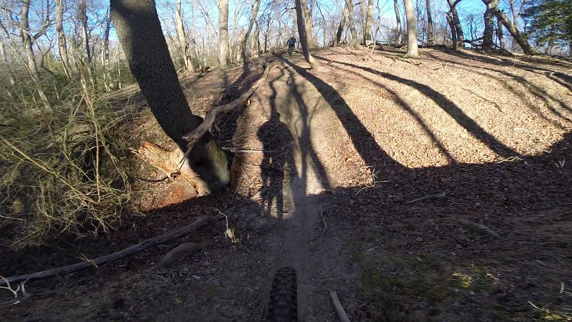 A mountain biker navigating a woodland trail in early spring, with shadows of trees cast on the ground and a clear blue sky above. The path is surrounded by fallen leaves and branches, creating a natural outdoor setting. Allaire State Park mountain bike trail.