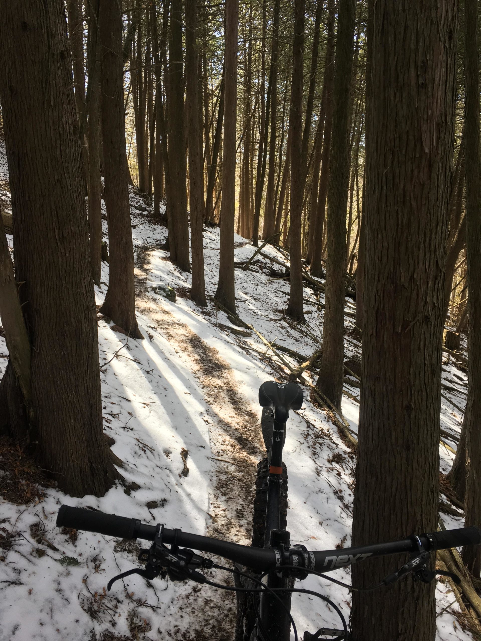 A view from the handlebars of a mountain bike resting on a snowy trail through a forest. Tall trees line the path, and sunlight peeks through the branches, creating a serene atmosphere. Snow covers parts of the ground, while the trail is partly visible, indicating a path suitable for biking. Palgrave Trail mountain bike trail.