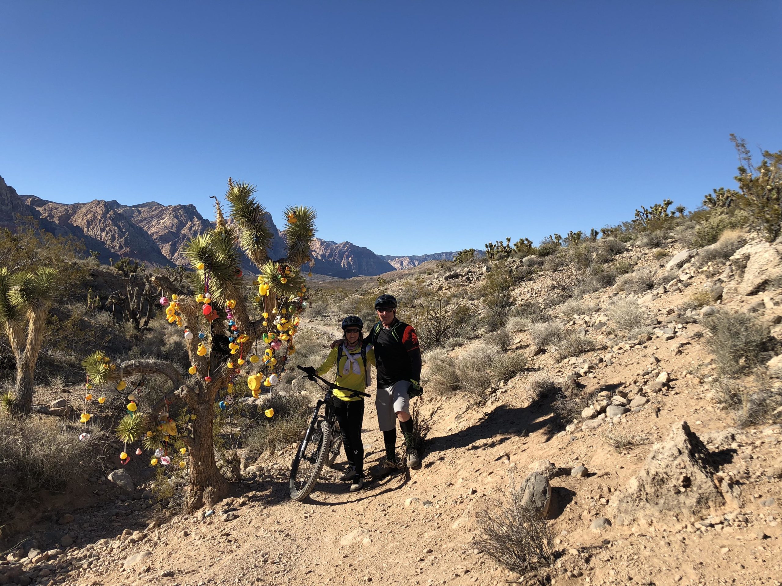 Two mountain bikers pose beside a Joshua tree adorned with colorful decorations, set against a backdrop of rugged mountains and a clear blue sky in a desert landscape. Blue Diamond mountain bike trail.
