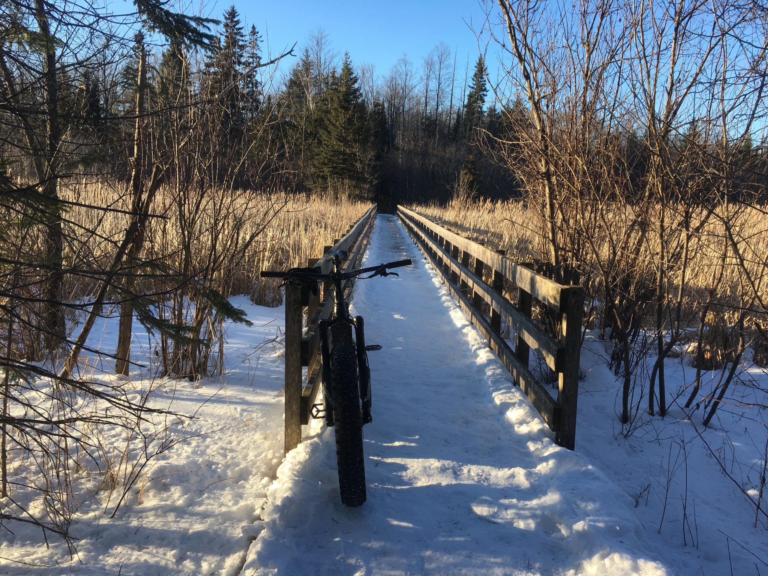 A snowy path leads over a wooden bridge, flanked by tall grasses and trees, with a fat bike resting against the railing on the left side, under a clear blue sky. Stony Swamp Conservation Area Trails mountain bike trail.