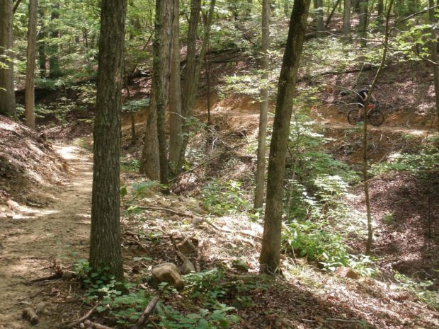 chilhowee mountain bike trails