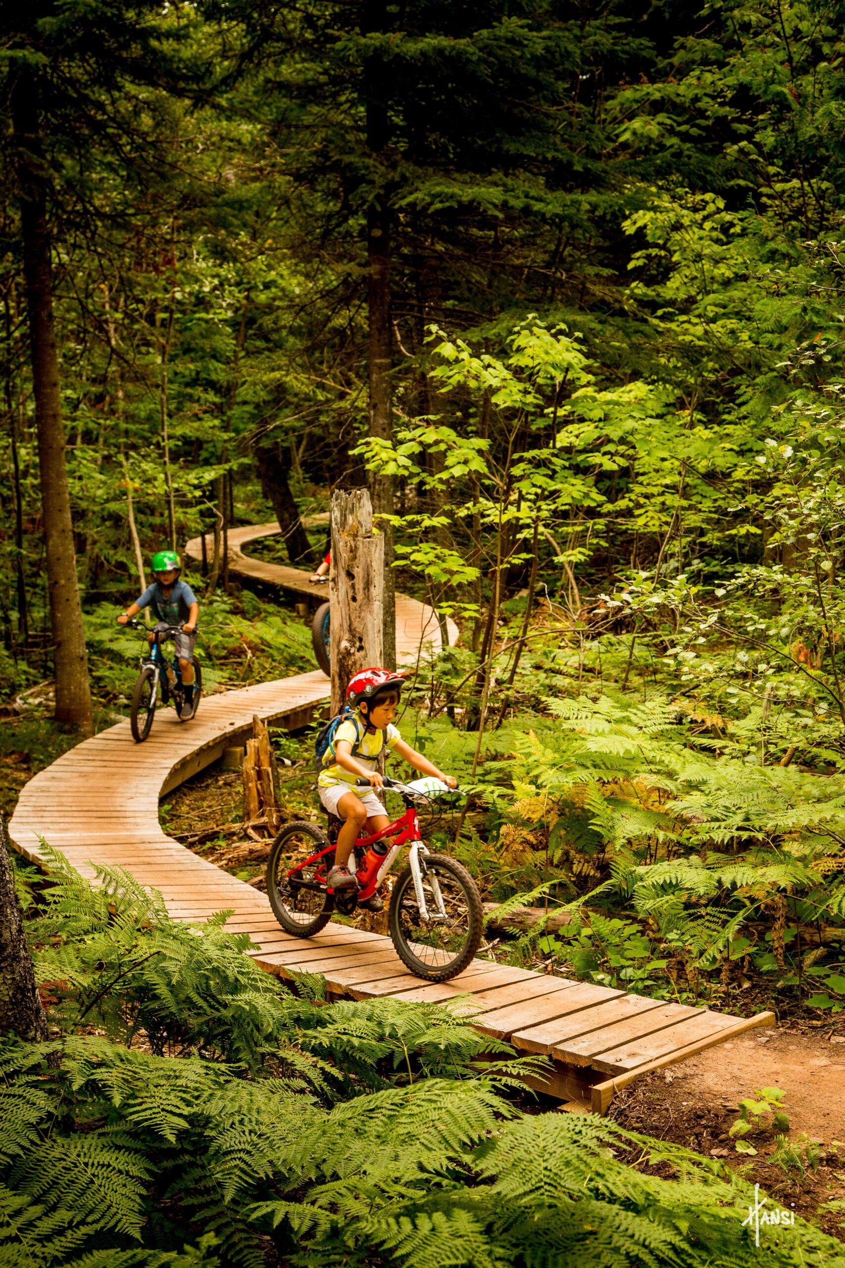 A young child rides a red bicycle on a winding wooden trail through a lush green forest. Ferns and trees surround the path, creating a vibrant natural setting. In the background, another child on a bike follows along the trail. The scene captures a moment of outdoor adventure and exploration.