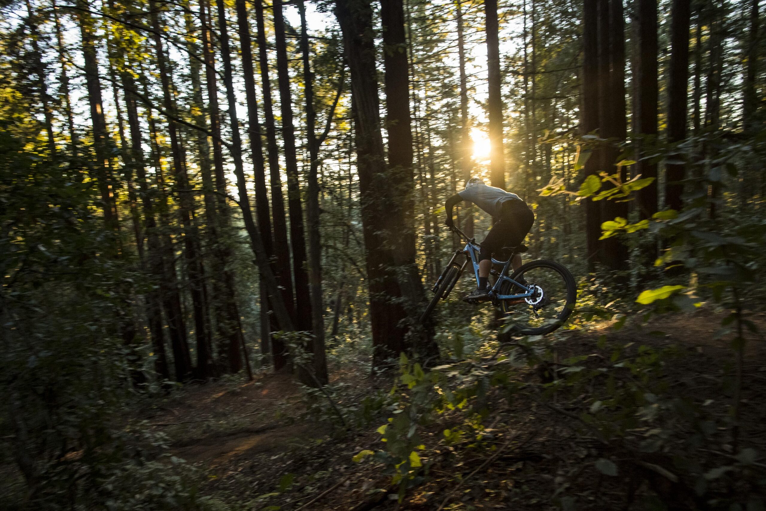 Ibis RipMo: A mountain biker leaps off a trail through a forest of tall trees, with the warm glow of the sun shining through the foliage in the background. The scene captures the thrill of outdoor cycling amidst nature.