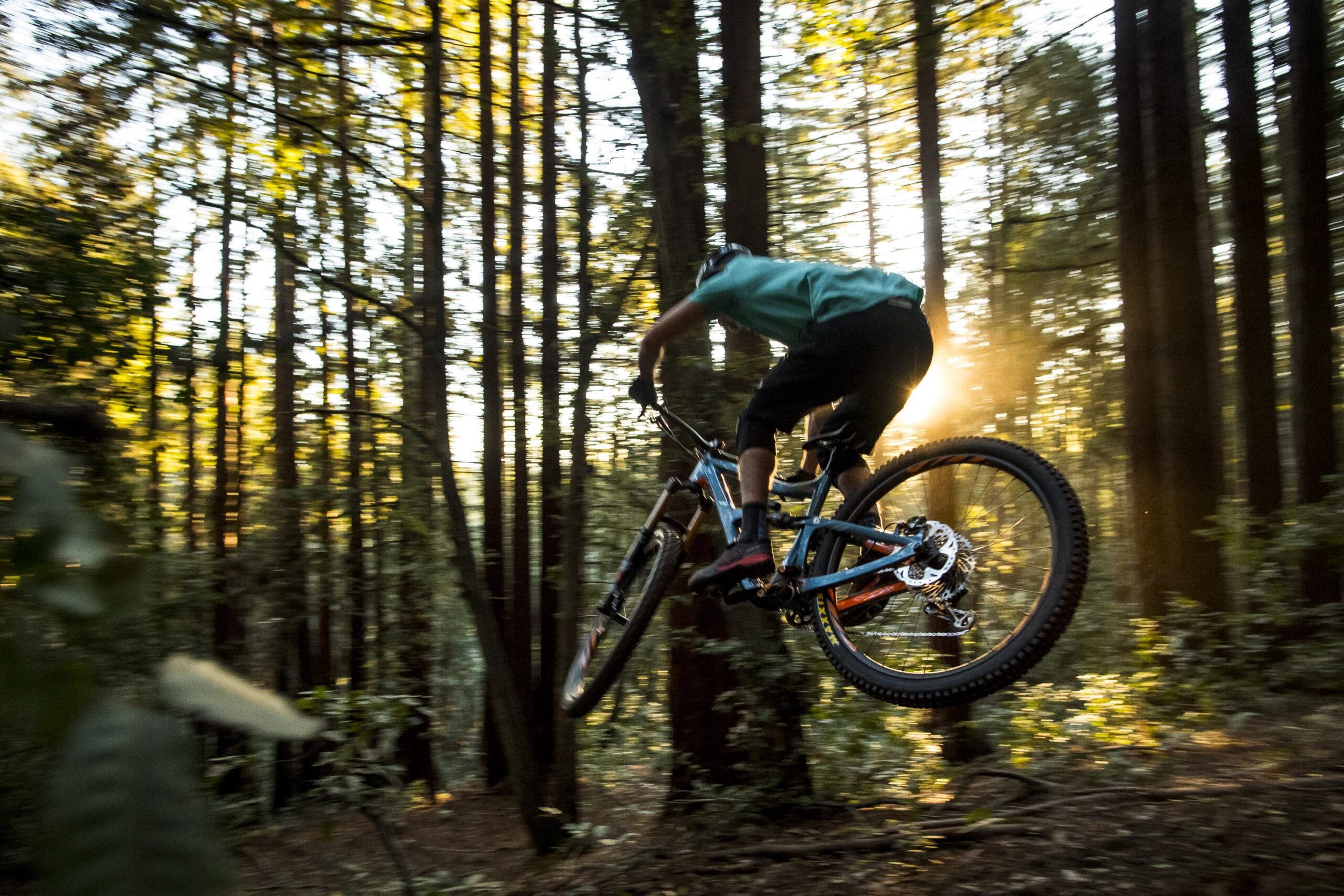Ibis RipMo: A mountain biker performing a jump on a wooded trail during sunset, with sunlight filtering through the trees and creating a warm glow.