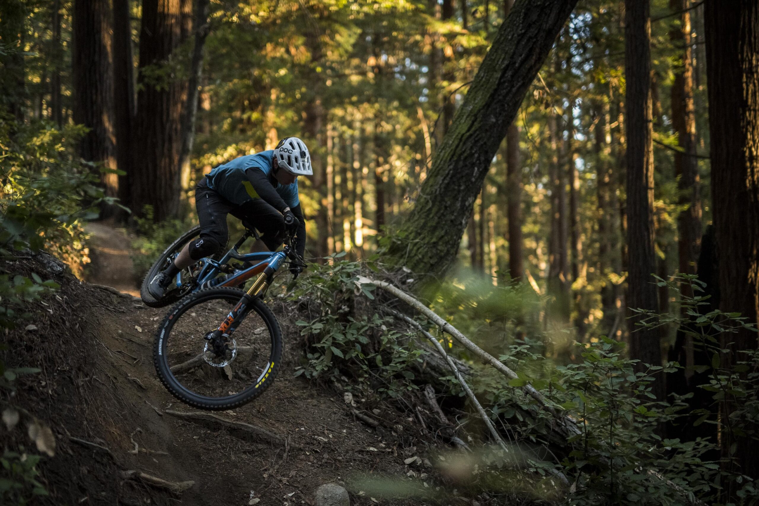 Ibis RipMo: A mountain biker navigating a curvy dirt trail in a lush forest, leaning into the turn with trees and greenery surrounding the path. The bike features thick tires, and the rider is wearing a helmet and protective gear. Soft sunlight filters through the trees, creating a serene and adventurous atmosphere.