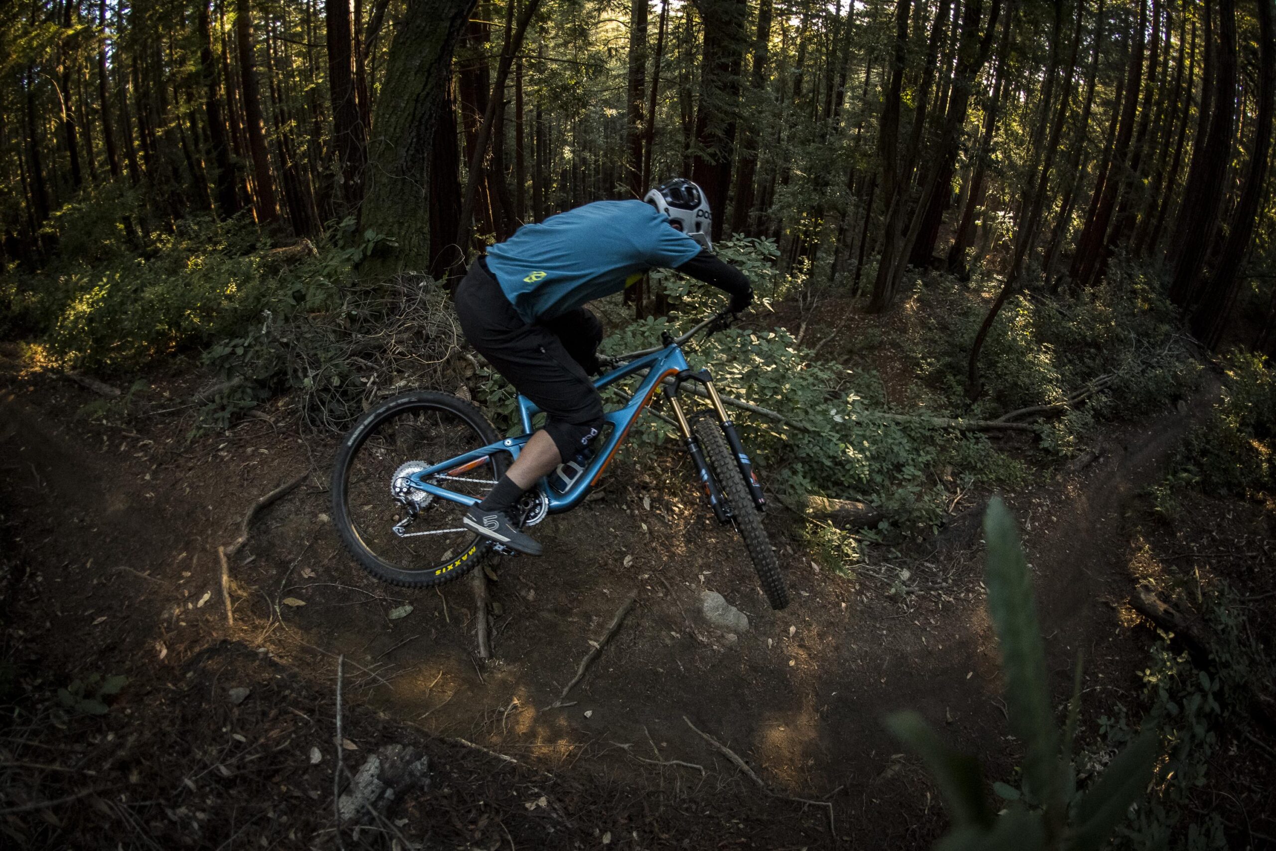 Ibis RipMo: A mountain biker maneuvering a trail in a dense forest, showcasing dynamic movement on a blue bike with a clear focus on the rider's form and the natural surroundings. Sunlight filters through the trees, illuminating the path.