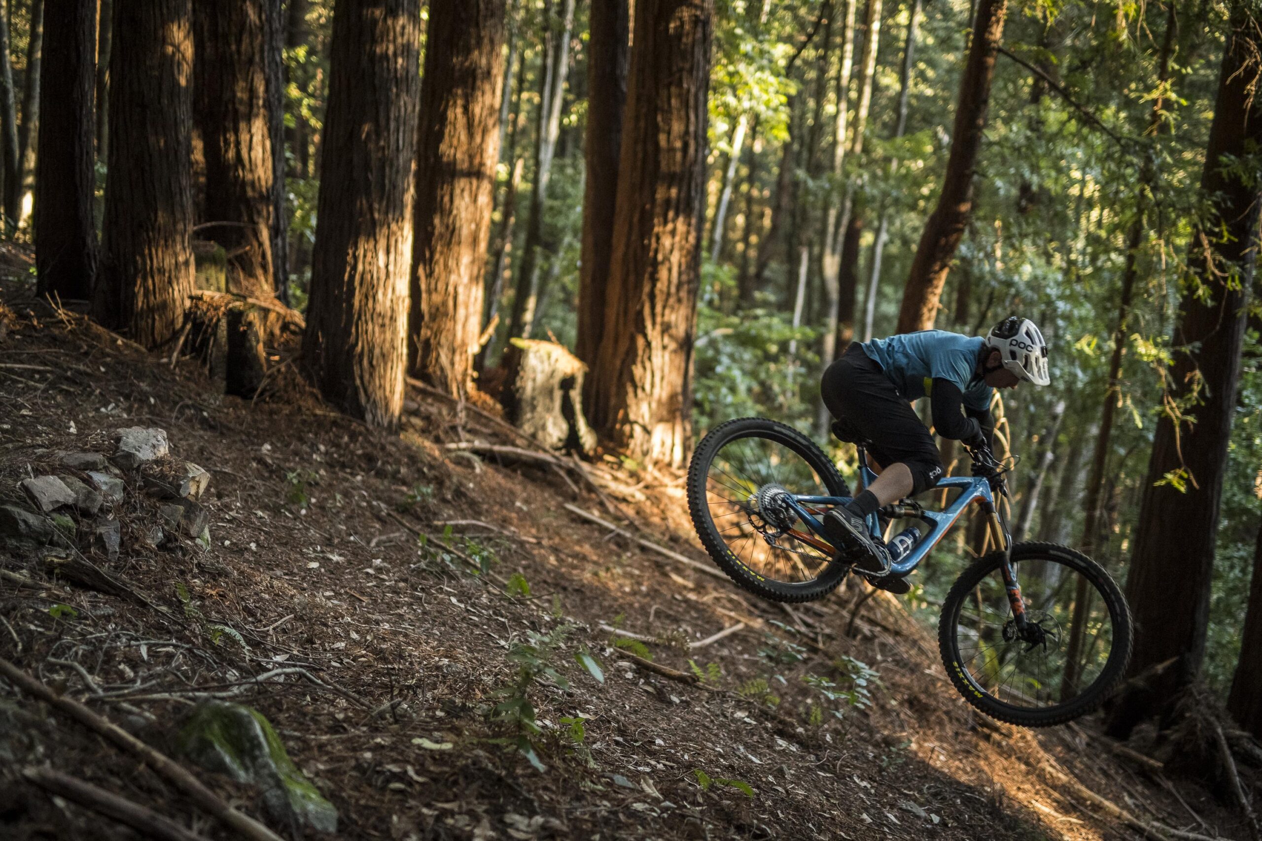 Ibis RipMo: A mountain biker performing a jump on a dirt trail in a forest during the golden hour, surrounded by tall trees and dappled sunlight filtering through the leaves.