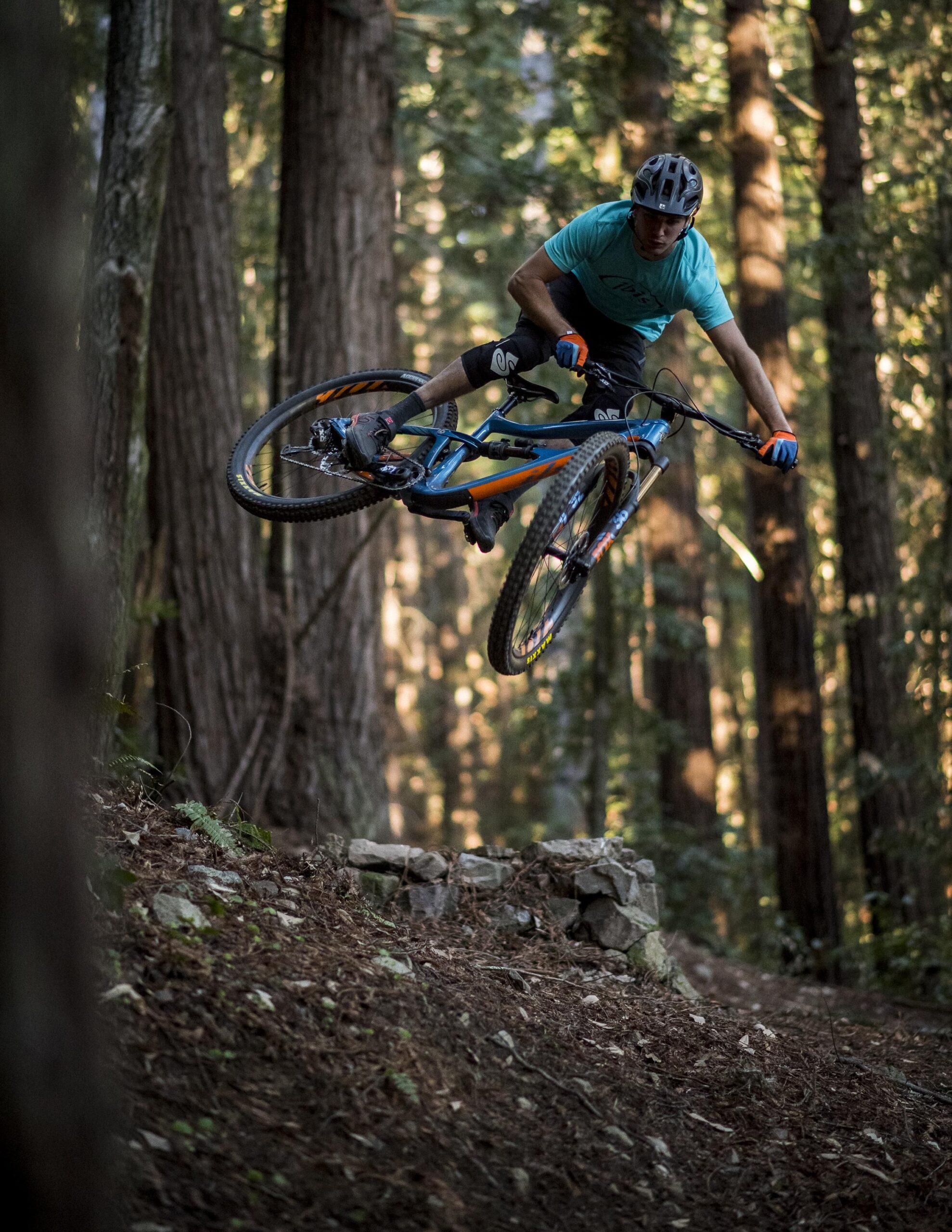 Ibis RipMo: A mountain biker performs a jump over a stone structure in a forested area, surrounded by tall trees and dappled sunlight filtering through the leaves. The rider is wearing a helmet, a turquoise shirt, and black shorts, showcasing an action-packed moment in nature.