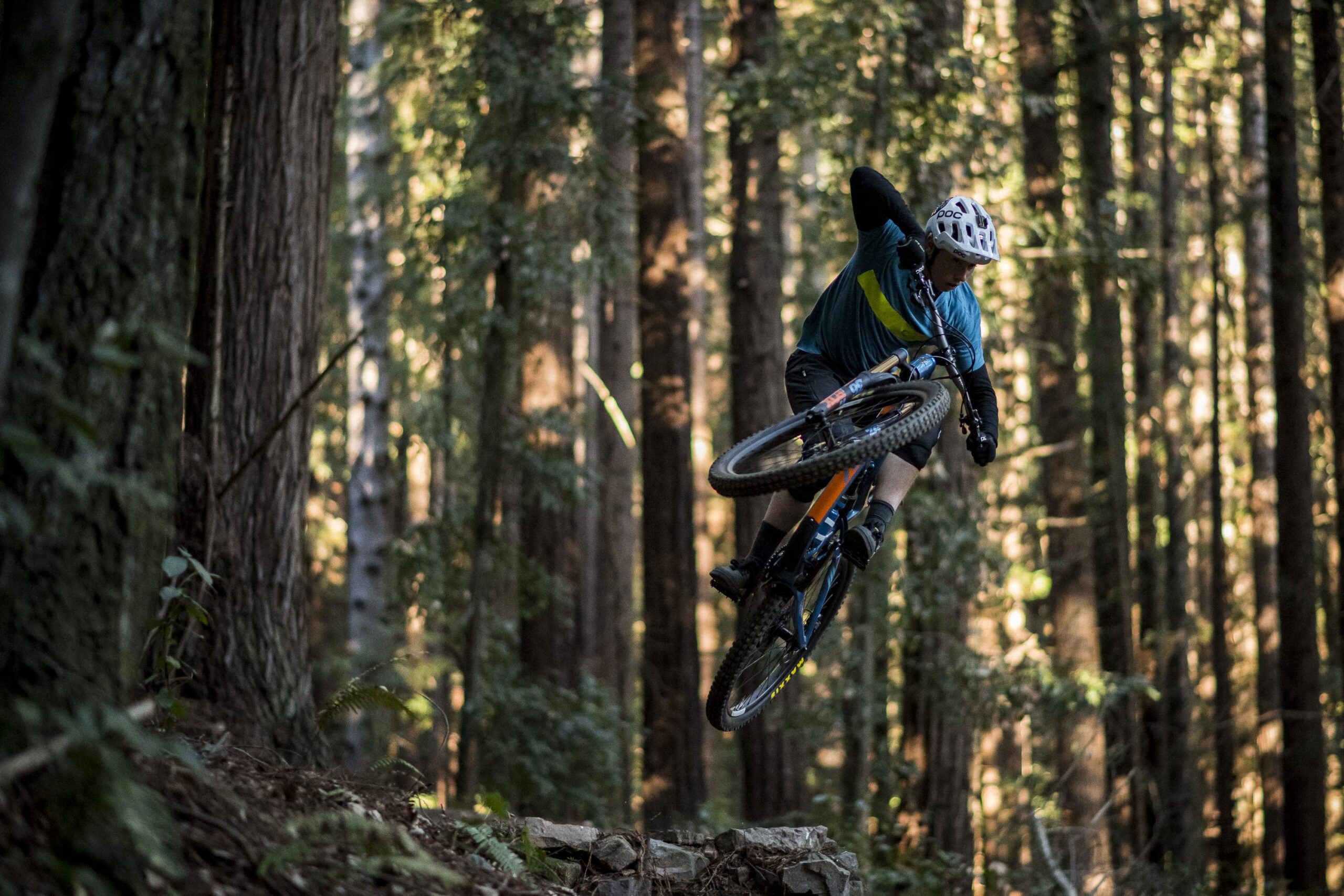 Ibis RipMo: A mountain biker performing a jump over a rock while riding through a forested trail, surrounded by tall trees and dappled sunlight filtering through the leaves. The rider is wearing a helmet and sporty attire, showcasing a dynamic and adventurous moment in outdoor cycling.