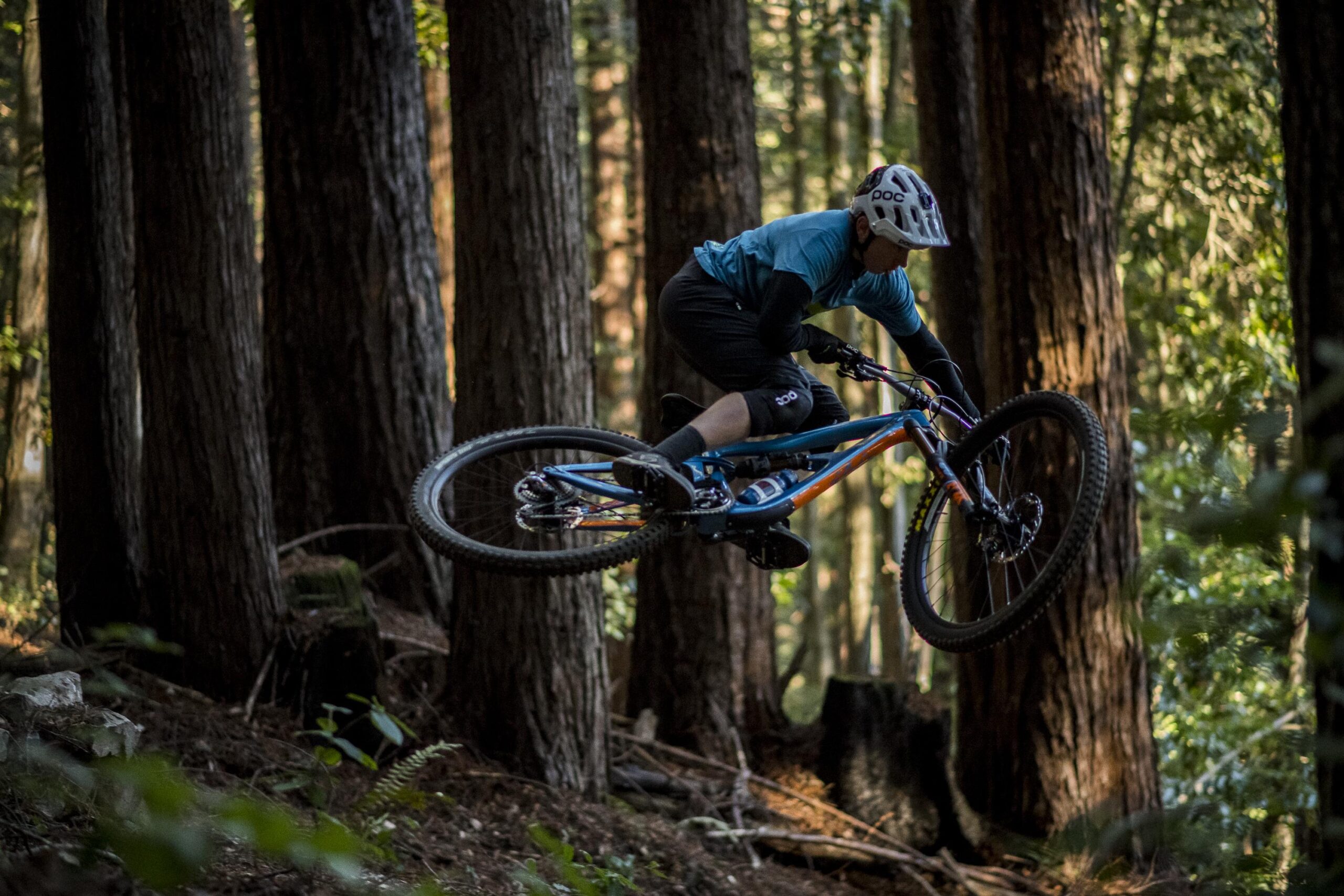 Ibis RipMo: A mountain biker mid-jump, showing dynamic action against a backdrop of tall trees in a forest. The rider wears a helmet and protective gear, with focus on their technique and the vibrant colors of the bike. Sunlight filters through the trees, creating an energetic atmosphere.