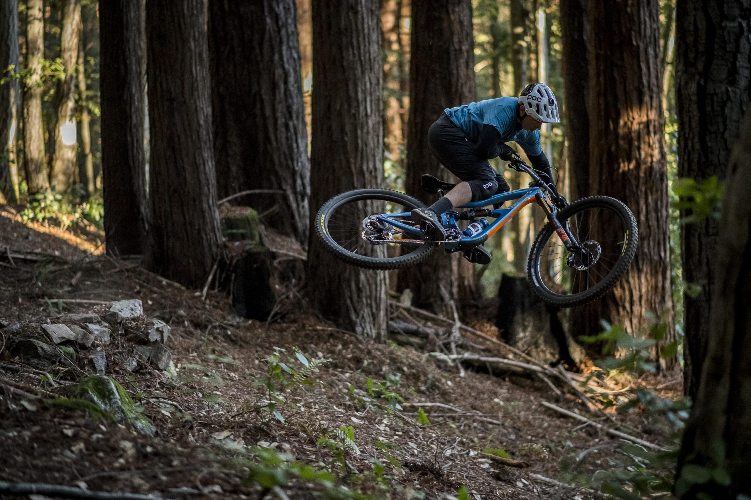 Ibis RipMo: A mountain biker performs a jump on a dirt trail surrounded by tall trees in a lush forest setting. Sunlight filters through the foliage, highlighting the bike's motion and the rider's focus. The scene captures the thrill and excitement of mountain biking in nature.