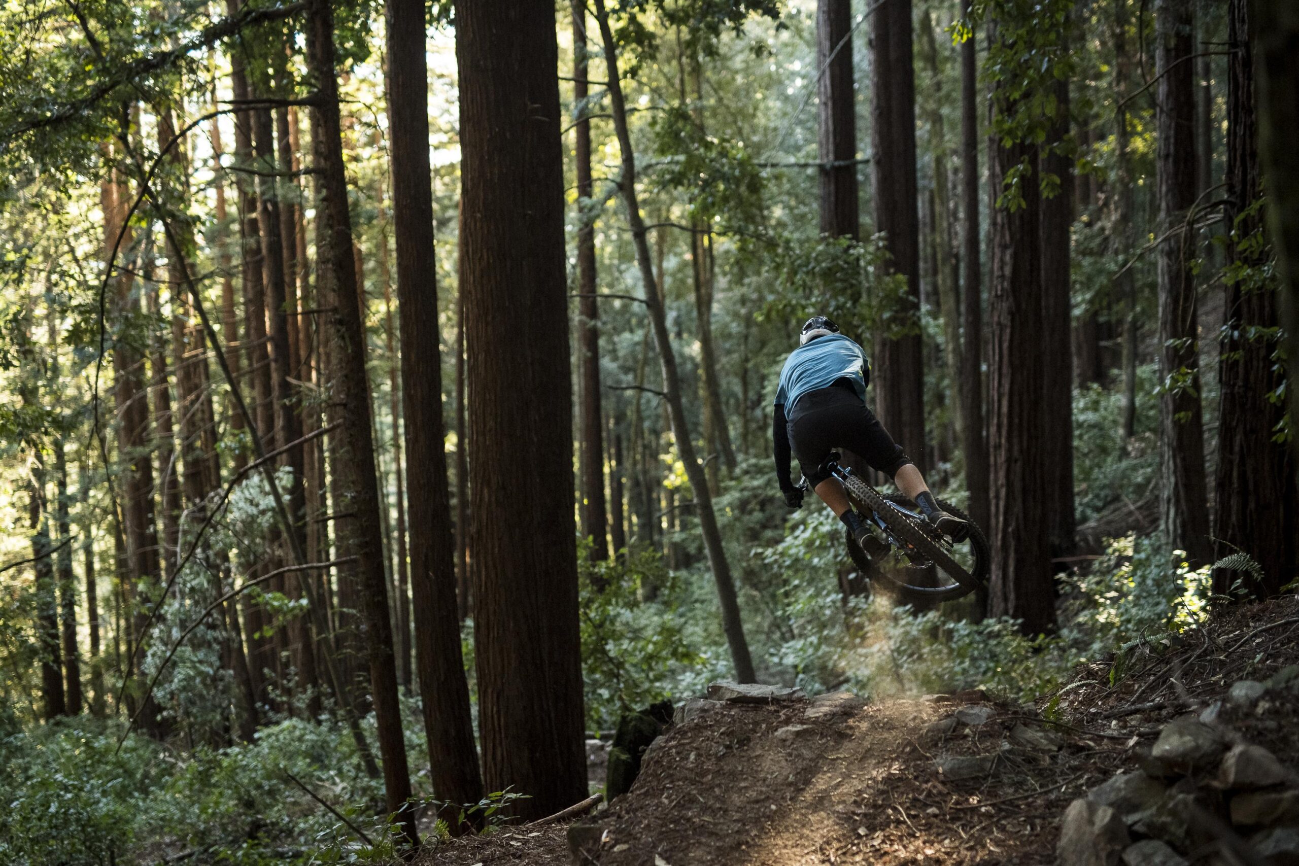 Ibis RipMo: A mountain biker catches air while performing a jump on a dirt trail in a lush forest, surrounded by tall trees and dappled sunlight filtering through the leaves.