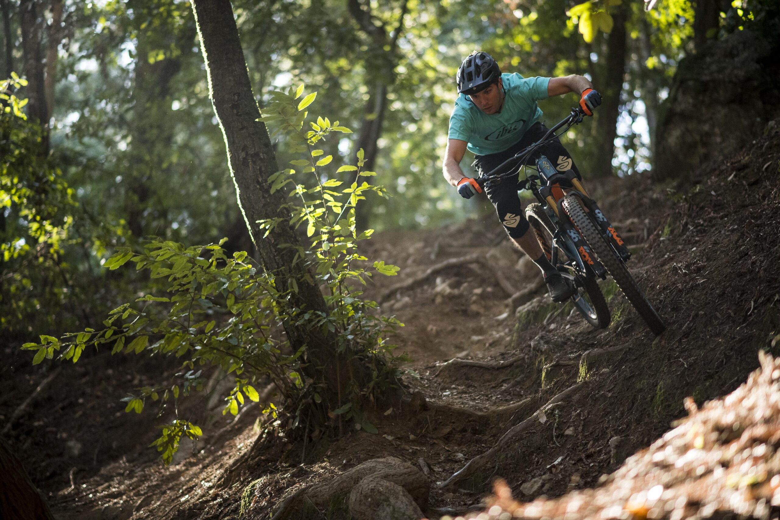 Ibis RipMo: A mountain biker wearing a teal shirt and helmet navigates a rocky trail in a sunlit forest, leaning into a turn while surrounded by greenery.