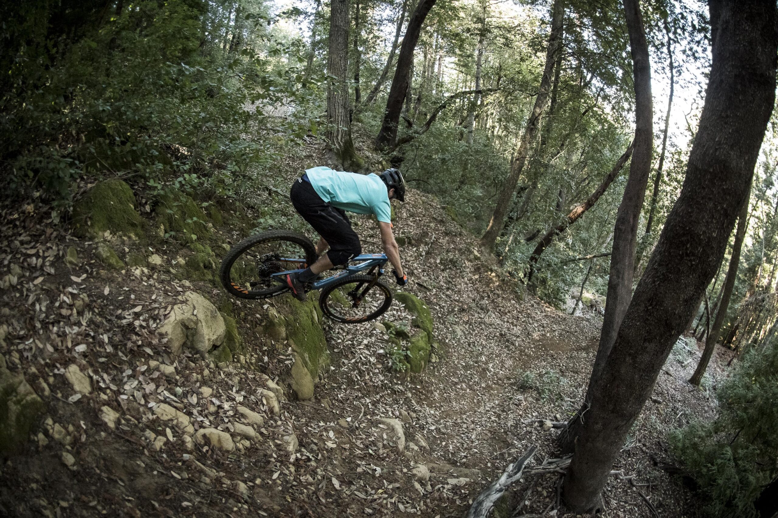 Ibis RipMo: A mountain biker navigating a rocky trail in a lush forest, with trees and moss-covered rocks surrounding the path. The rider is leaning forward on a blue mountain bike, showcasing an action-packed moment on the challenging terrain.