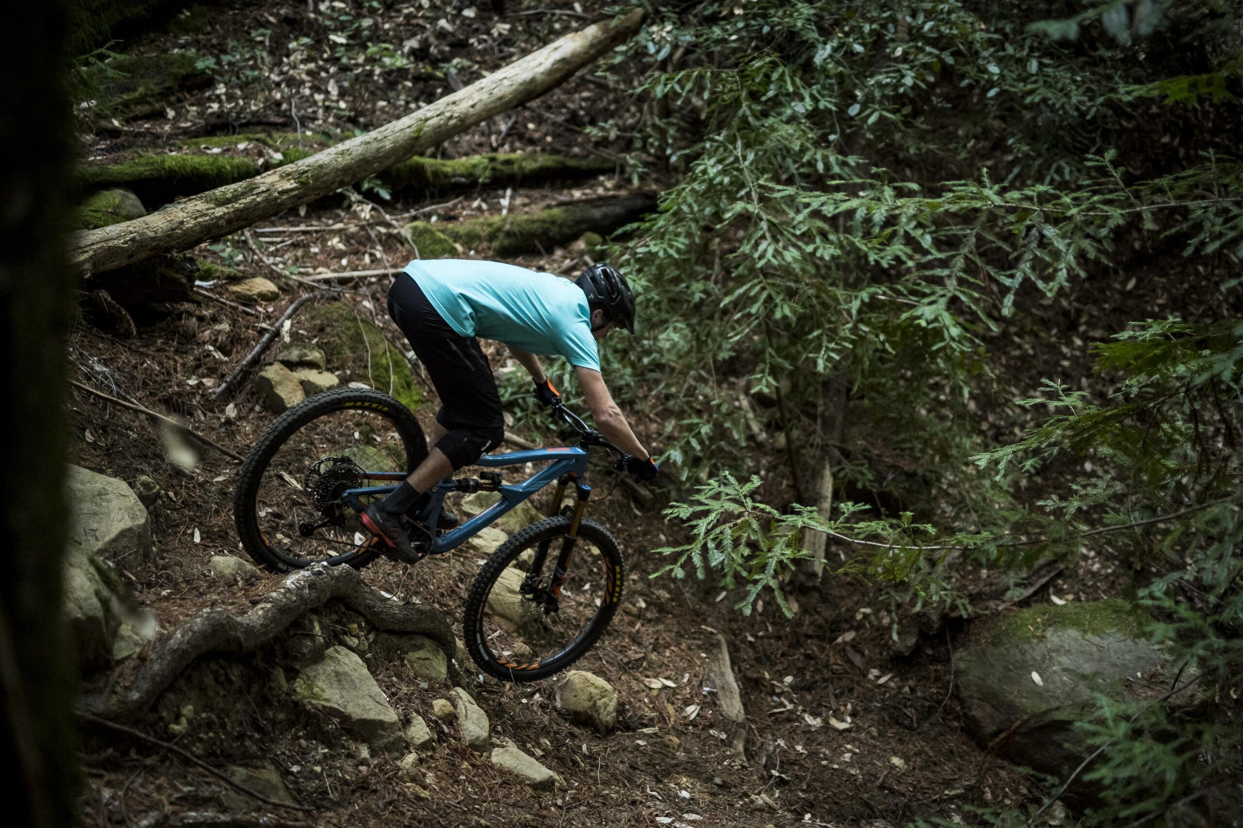 Ibis RipMo: A mountain biker navigating a rugged trail through a wooded area, balancing on a log and surrounded by trees and rocks. The cyclist is wearing protective gear and a helmet, focused on maintaining control while riding.