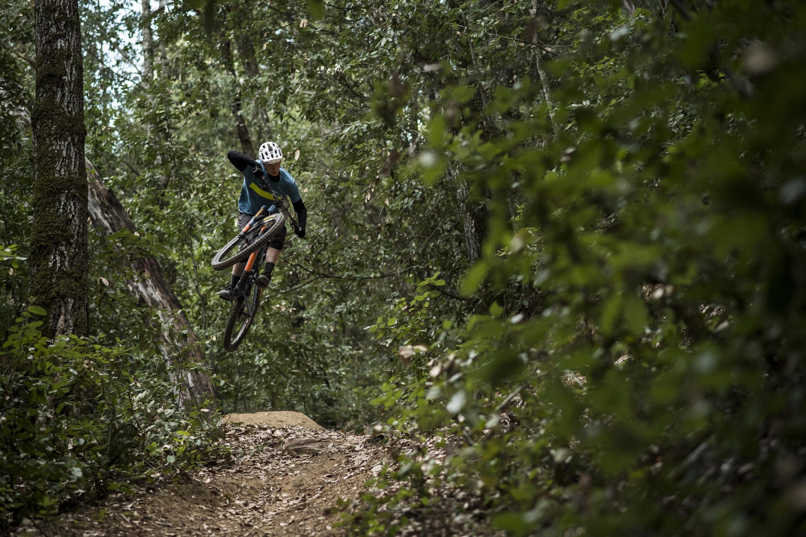 Ibis RipMo: A mountain biker performing a jump on a dirt trail surrounded by dense greenery. The rider is airborne, with the bike's front wheel elevated, showcasing an action-packed moment in a forested environment.
