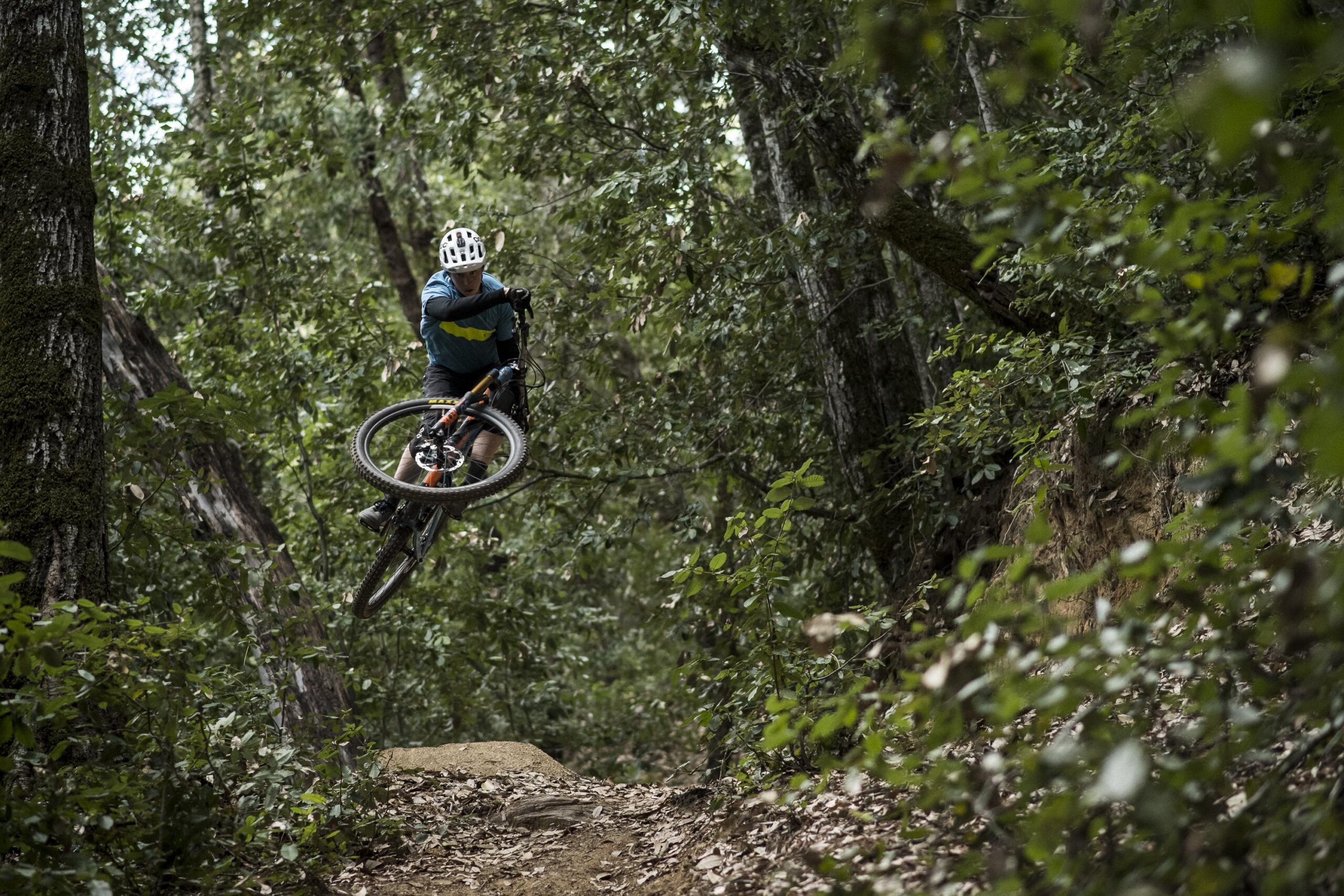 Ibis RipMo: A cyclist performing a jump on a mountain bike through a forested trail, surrounded by trees and greenery. The rider, wearing a helmet and blue athletic gear, is airborne while navigating over a dirt mound. Leaves and foliage are scattered along the ground, creating a natural outdoor setting.