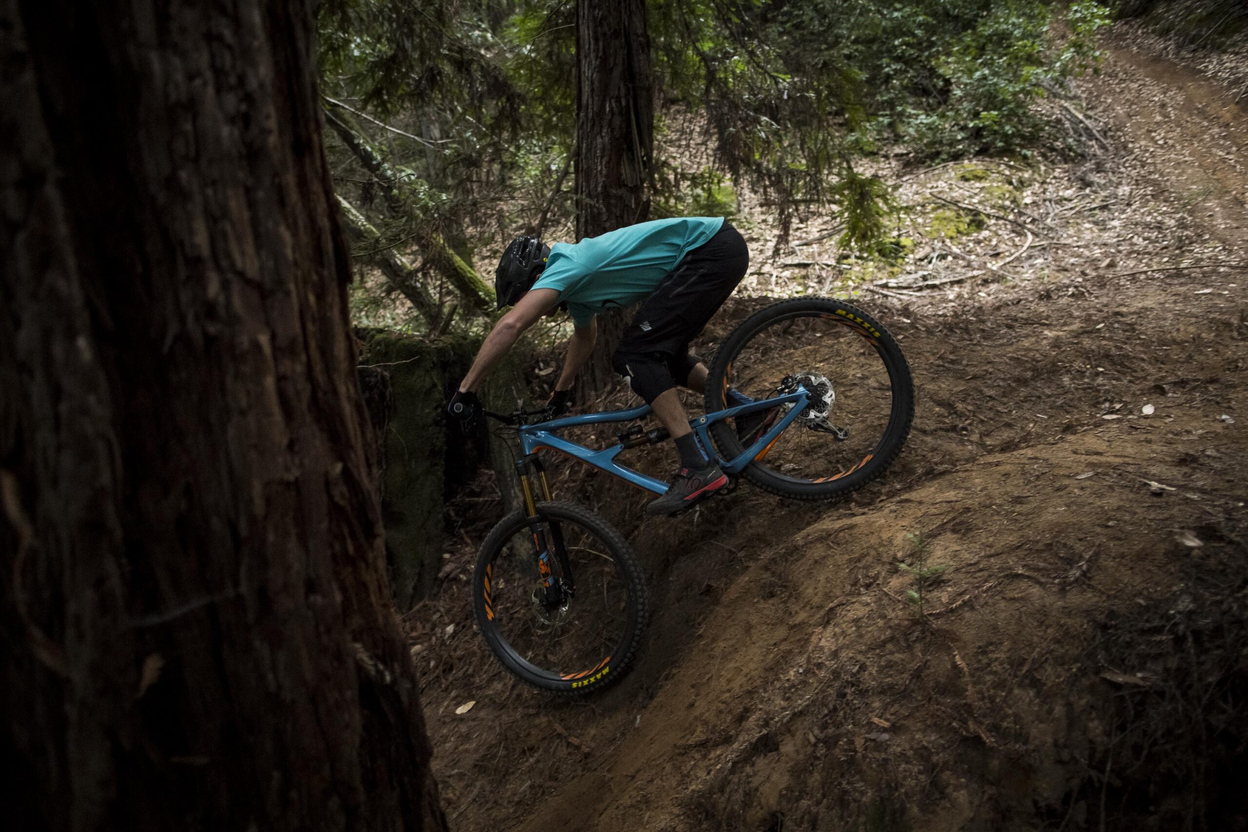 Ibis RipMo: A mountain biker navigates a steep, dirt trail surrounded by tall trees, leaning forward on a blue bike, with an intense focus on maintaining balance. The scene captures the essence of outdoor adventure and the thrill of biking in nature.